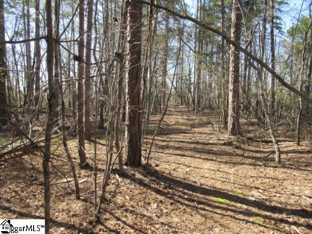 0 Pine Grove Church Road, Unit TRACT 12 Sunset, SC 29685 - Photo 24 of 24