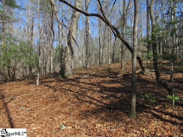 0 Pine Grove Church Road, Unit TRACT 12 Sunset, SC 29685 - Photo 4 of 24