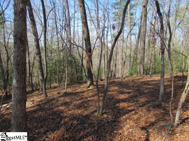 0 Pine Grove Church Road, Unit TRACT 12 Sunset, SC 29685 - Photo 5 of 24