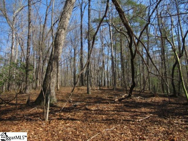 0 Pine Grove Church Road, Unit TRACT 12 Sunset, SC 29685 - Photo 6 of 24