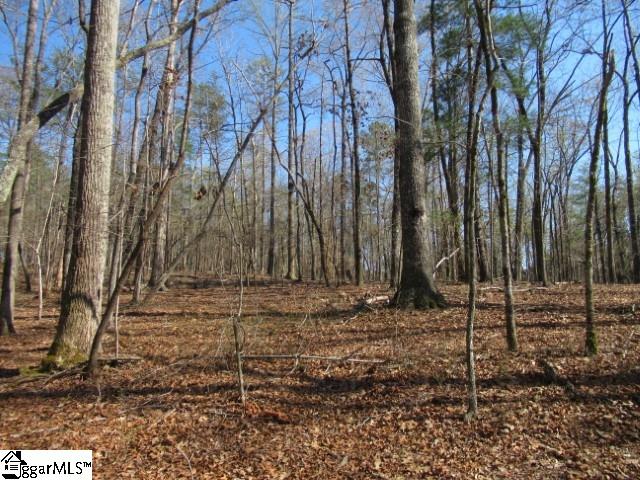 0 Pine Grove Church Road, Unit TRACT 12 Sunset, SC 29685 - Photo 7 of 24