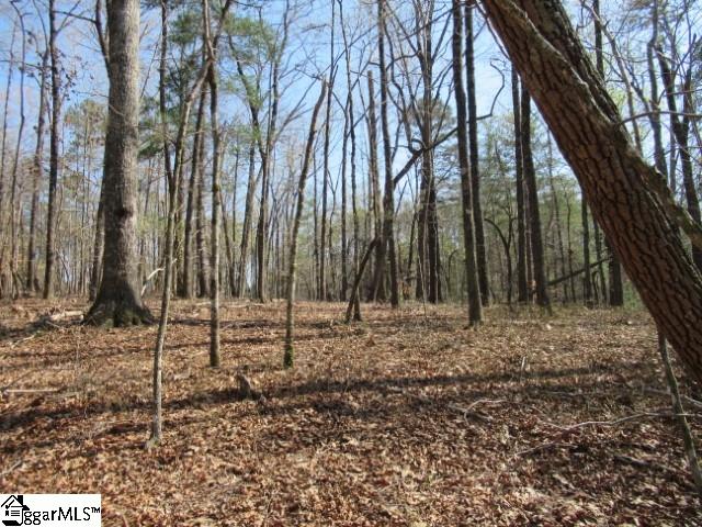 0 Pine Grove Church Road, Unit TRACT 12 Sunset, SC 29685 - Photo 8 of 24