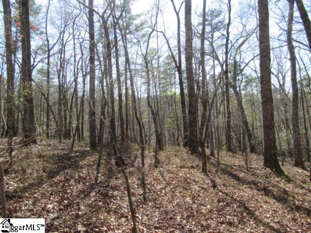 0 Pine Grove Church Road, Unit TRACT 12 Sunset, SC 29685 - Photo 9 of 24