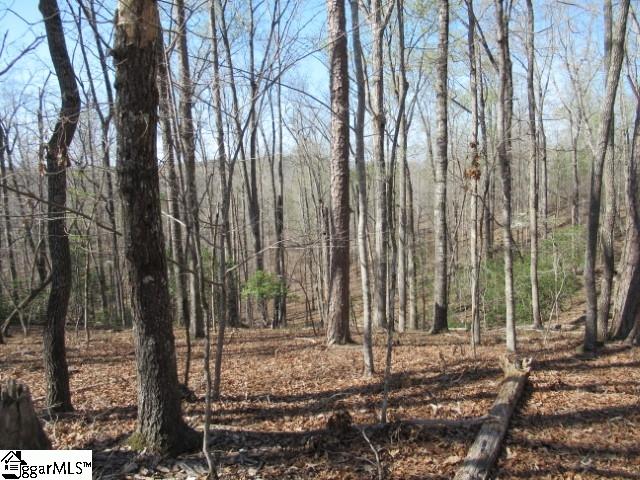 0 Pine Grove Church Road, Unit TRACT 12 Sunset, SC 29685 - Photo 10 of 24