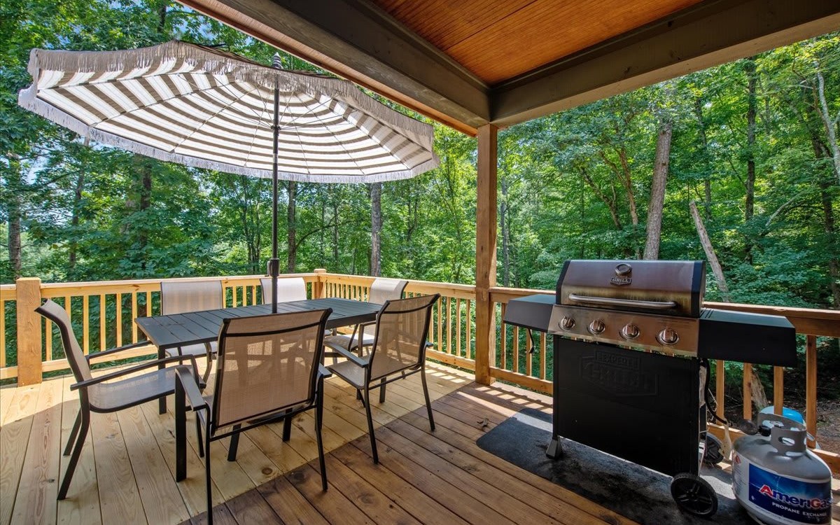 411 Gunite Circle Ellijay, GA 30540 - Photo 22 of 63 Additional View