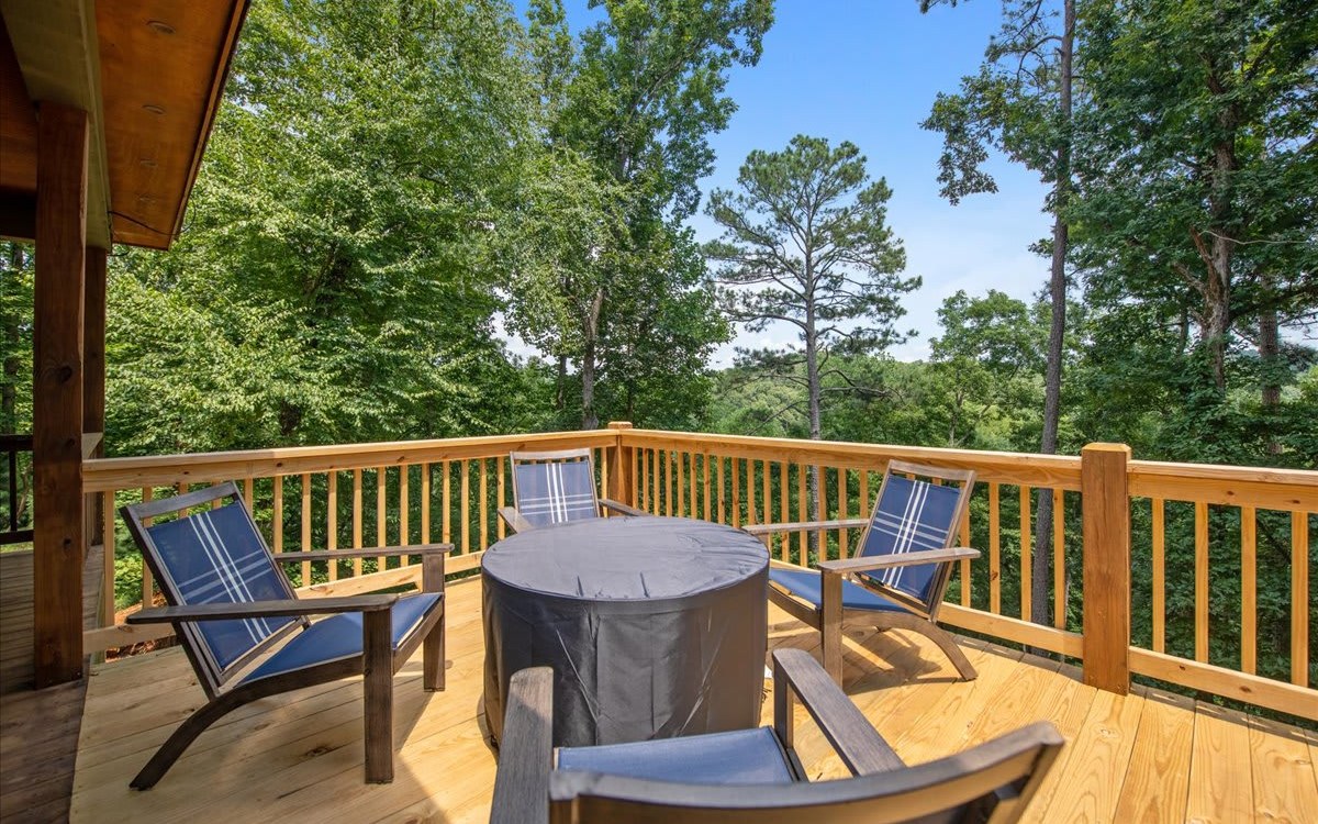 411 Gunite Circle Ellijay, GA 30540 - Photo 5 of 63 Additional View