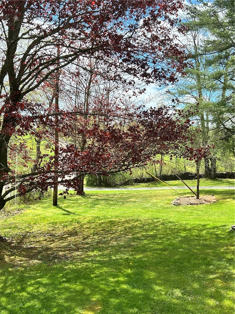 683 Sawdey Road Catlin, NY 14812 - Photo 35 of 36