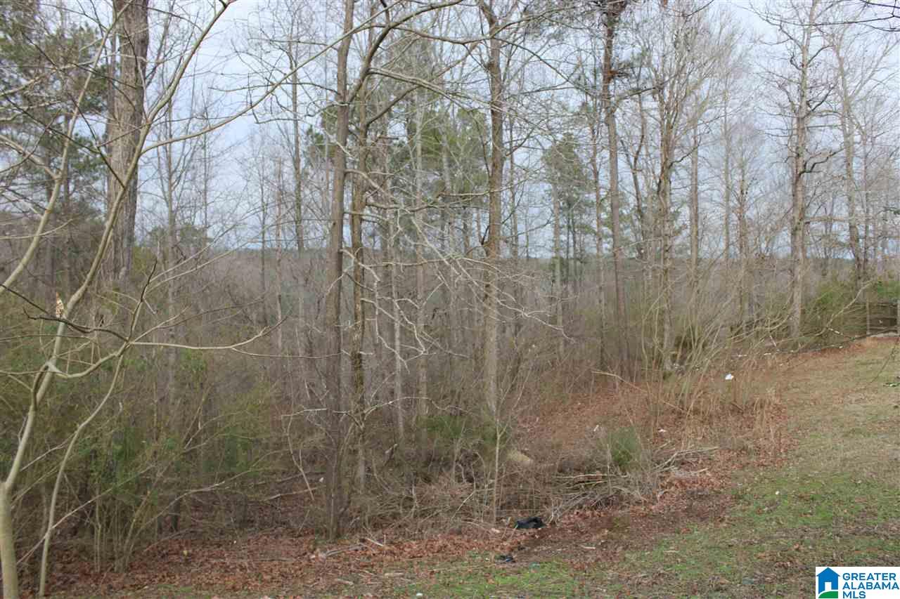 1852 Parc Ridge Circle, Unit 14 Warrior, AL 35180 - Photo 4 of 6