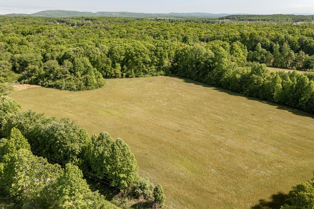0 Burdette Road Grandview, TN 37337 - Photo 3 of 21 a view of a yard