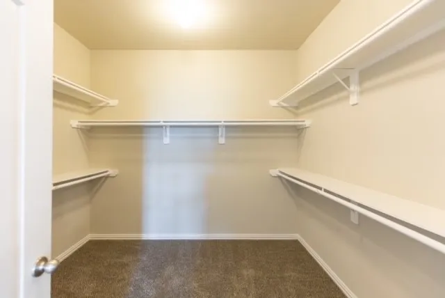 a view of a yard with palm trees