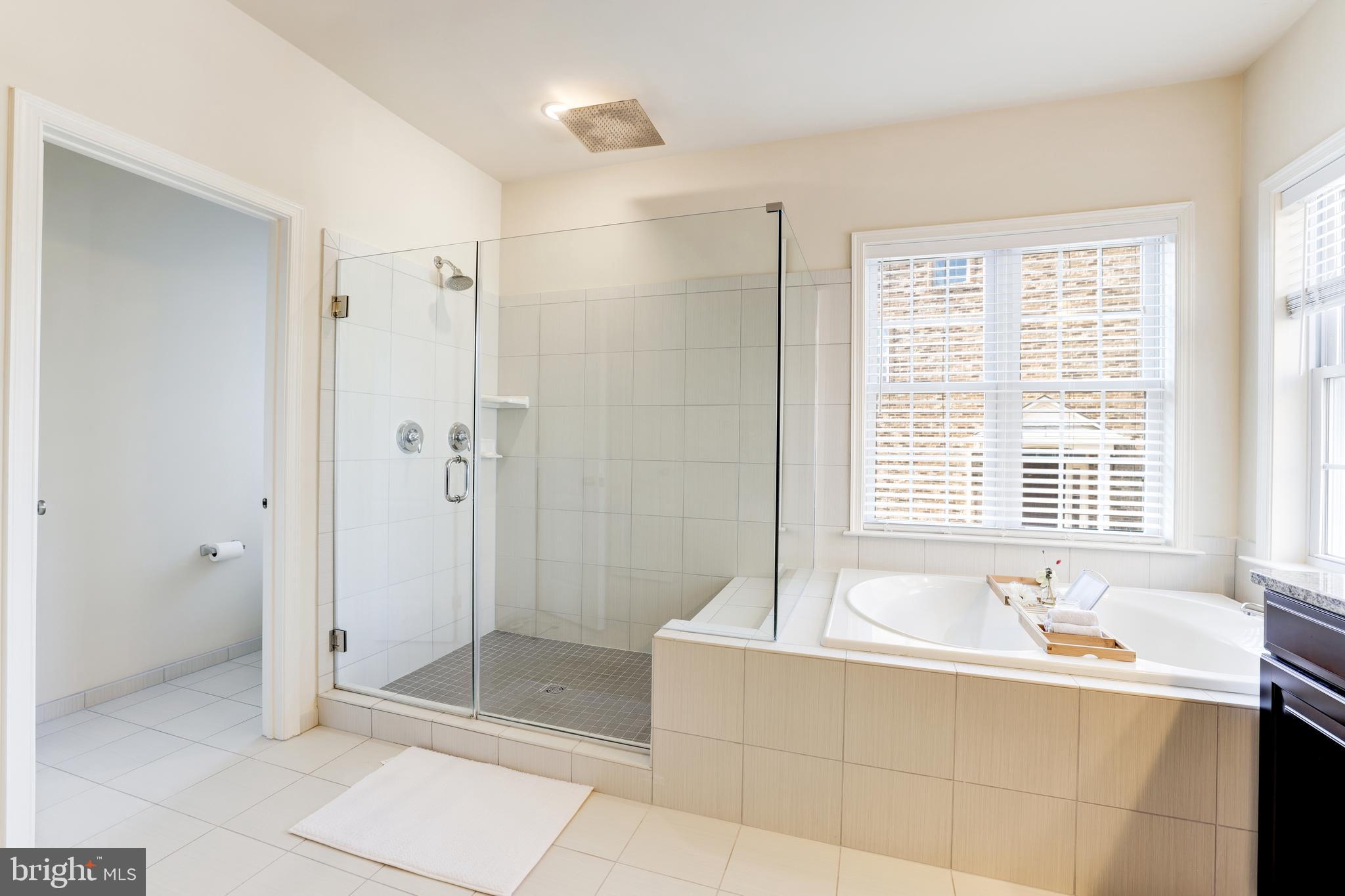 43050 Old Ryan Road Ashburn, VA 20148 - Photo 32 of 48 Luxurious Bath