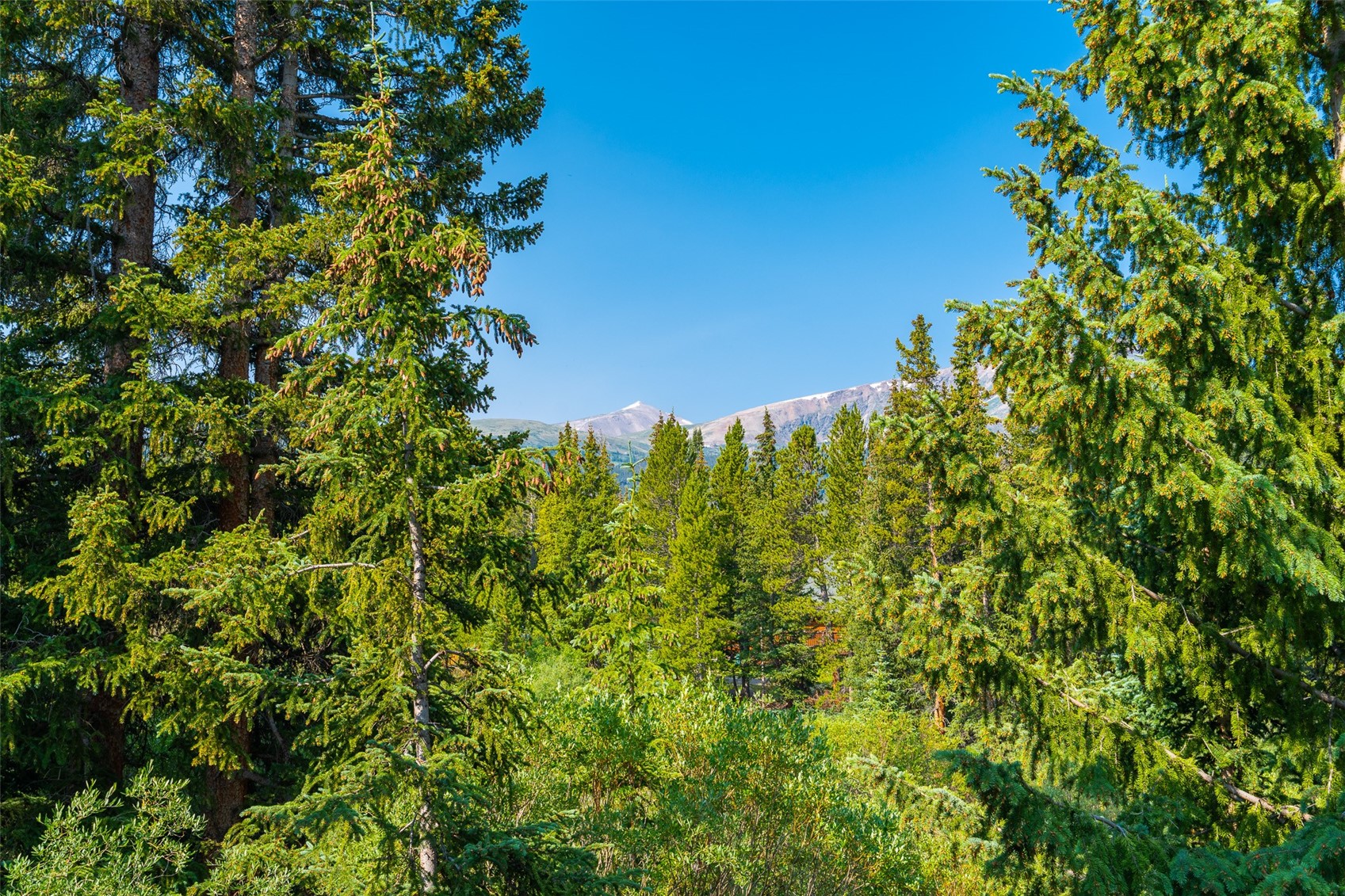324 Rena Road Breckenridge, CO 80424 - Photo 36 of 50 Gallery Image 36