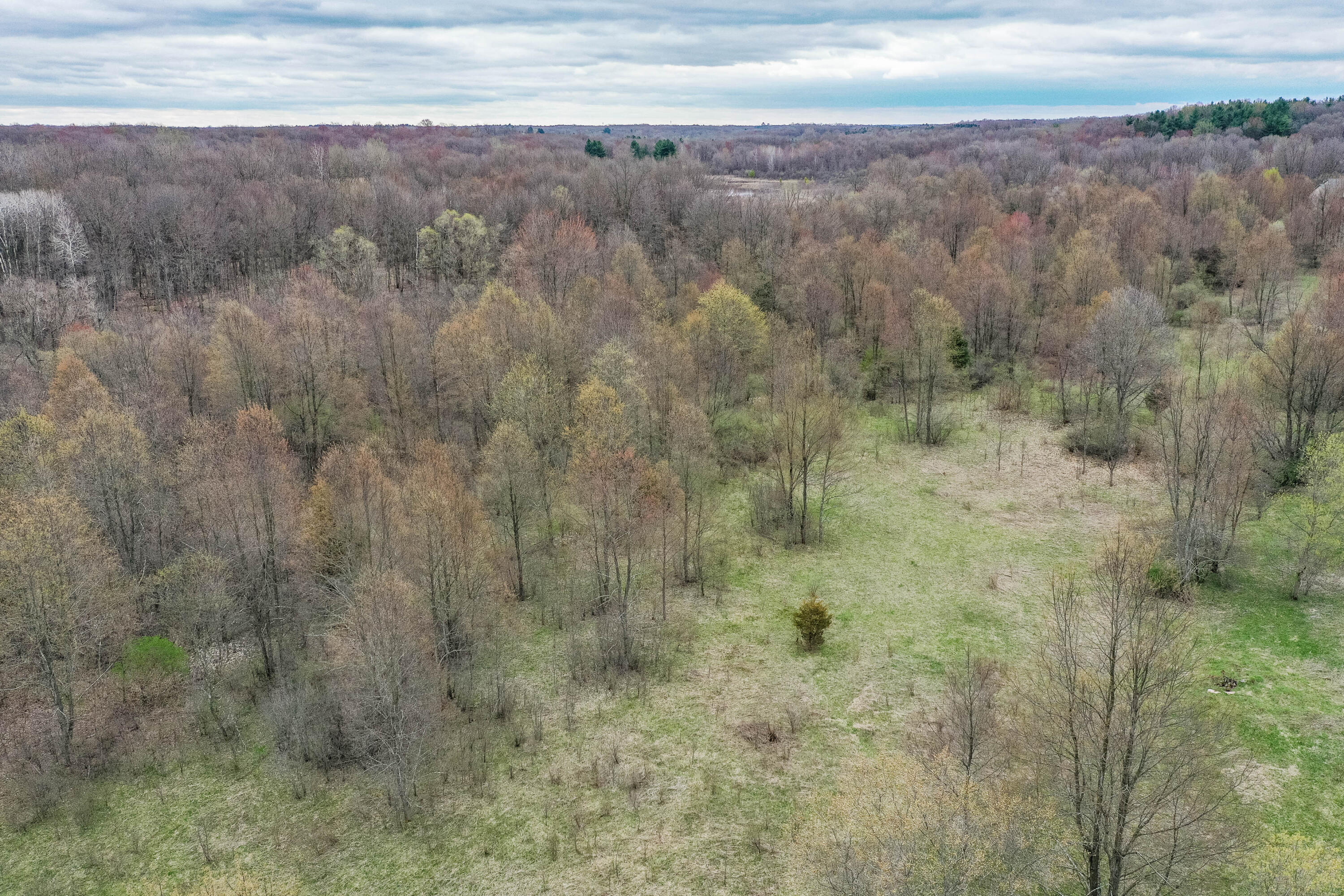Parcel G Meachem Road Battle Creek, MI 49017 - Photo 2 of 6 Lot 2 (5 of 6)