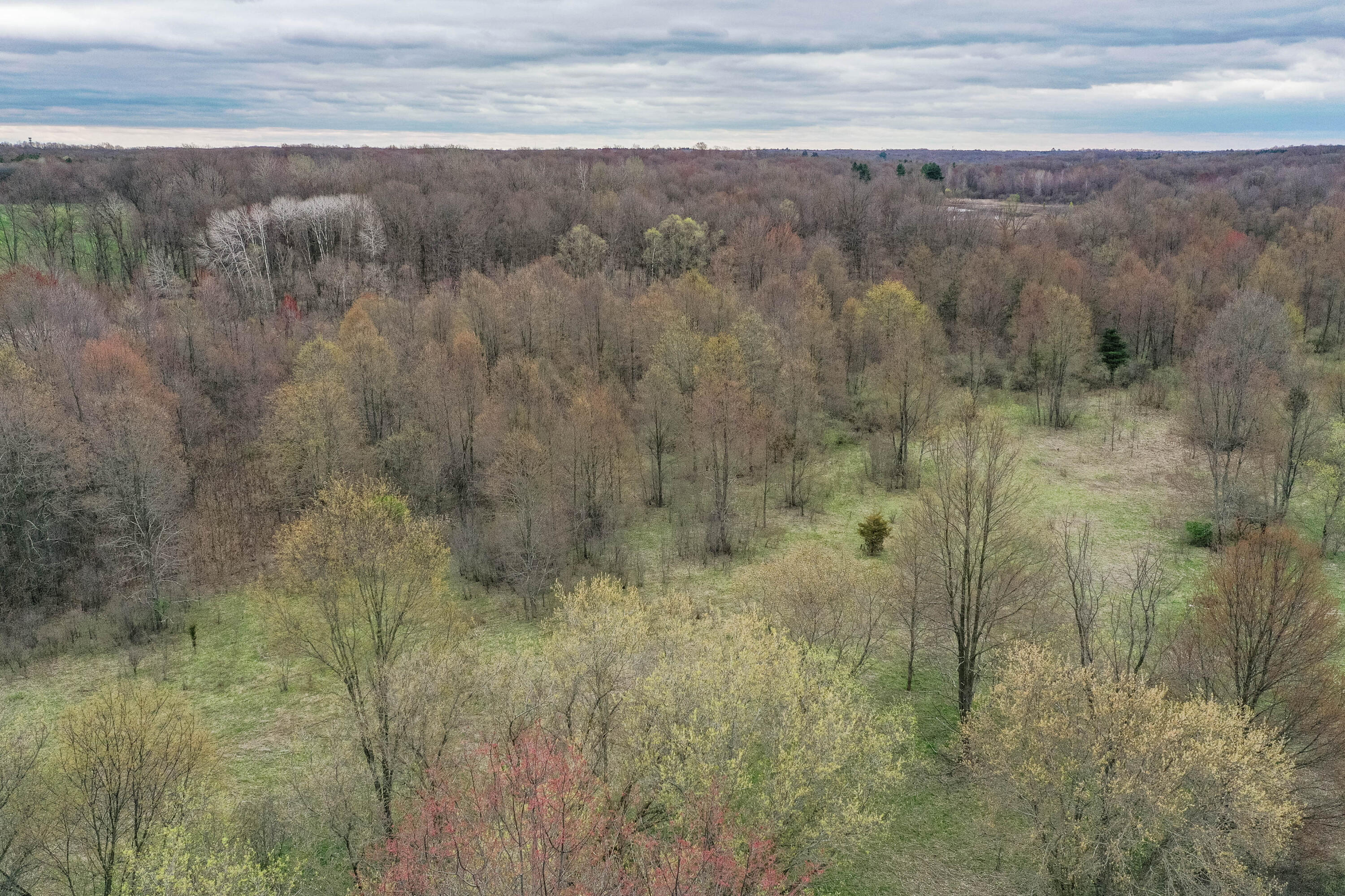 Parcel G Meachem Road Battle Creek, MI 49017 - Photo 3 of 6 Lot 2 (2 of 6)