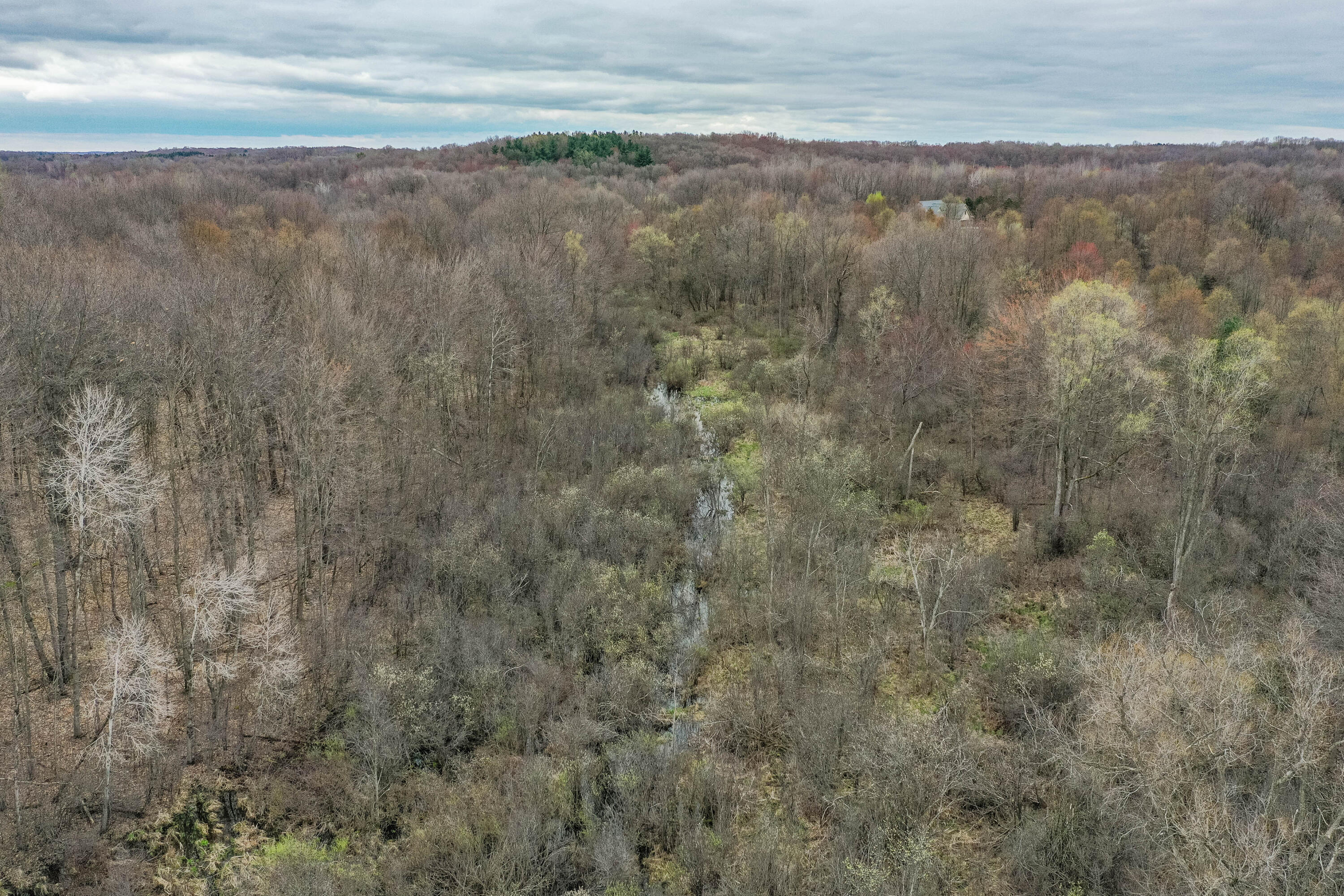 Parcel G Meachem Road Battle Creek, MI 49017 - Photo 4 of 6 Lot 2 (3 of 6)