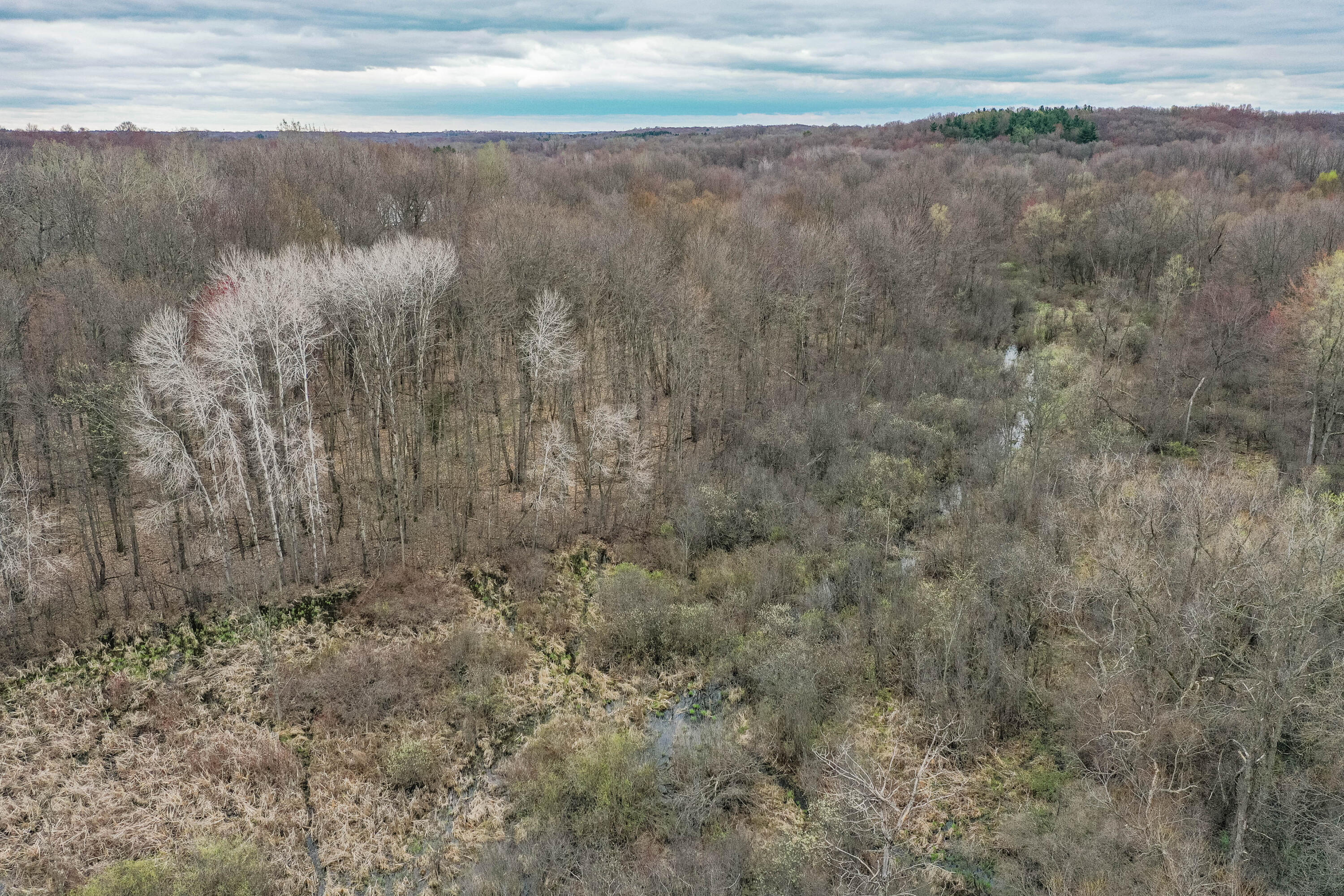 Parcel G Meachem Road Battle Creek, MI 49017 - Photo 5 of 6 Lot 2 (4 of 6)