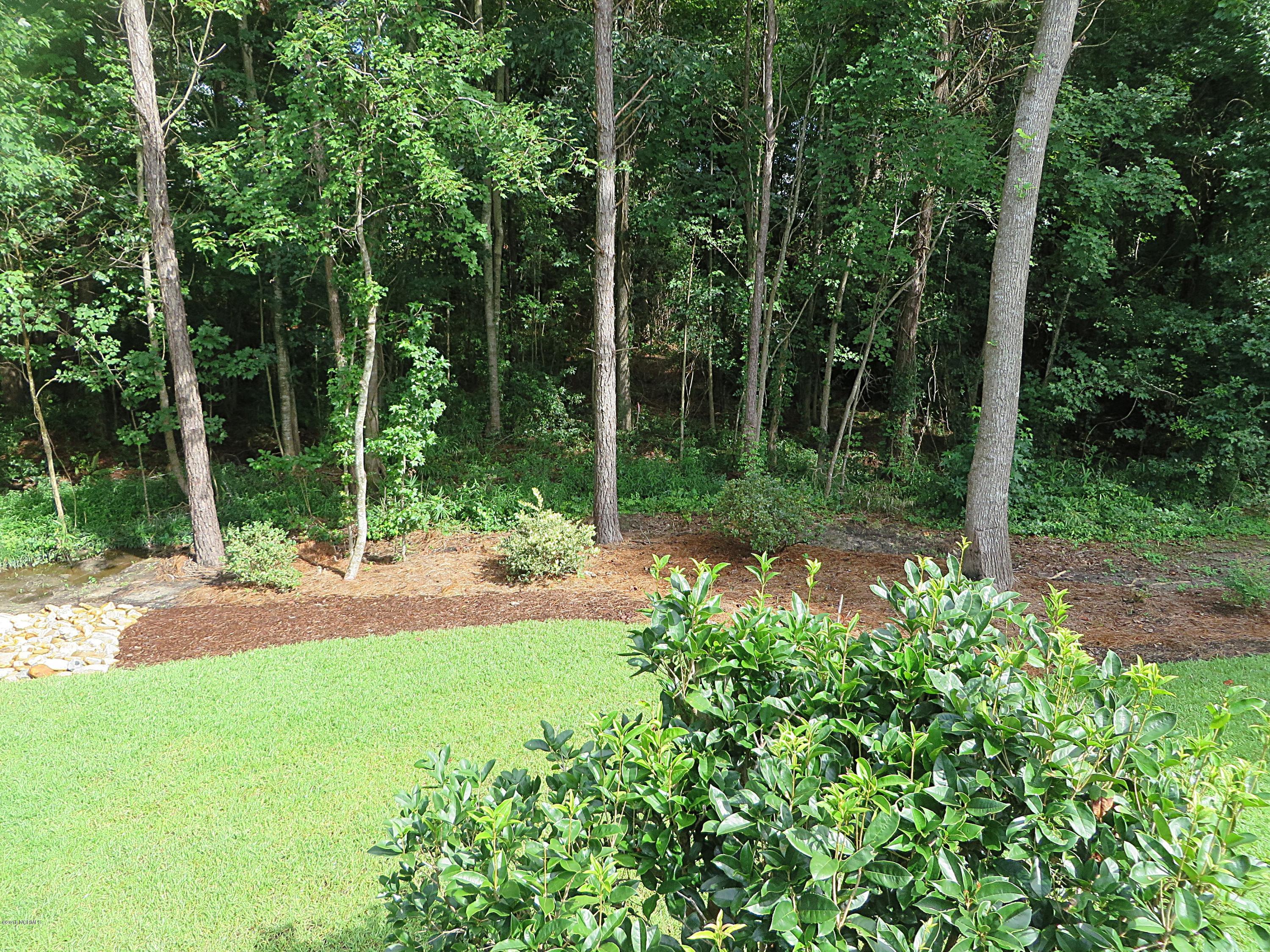 119 Friburg Road New Bern, NC 28562 - Photo 32 of 45 Private Yard