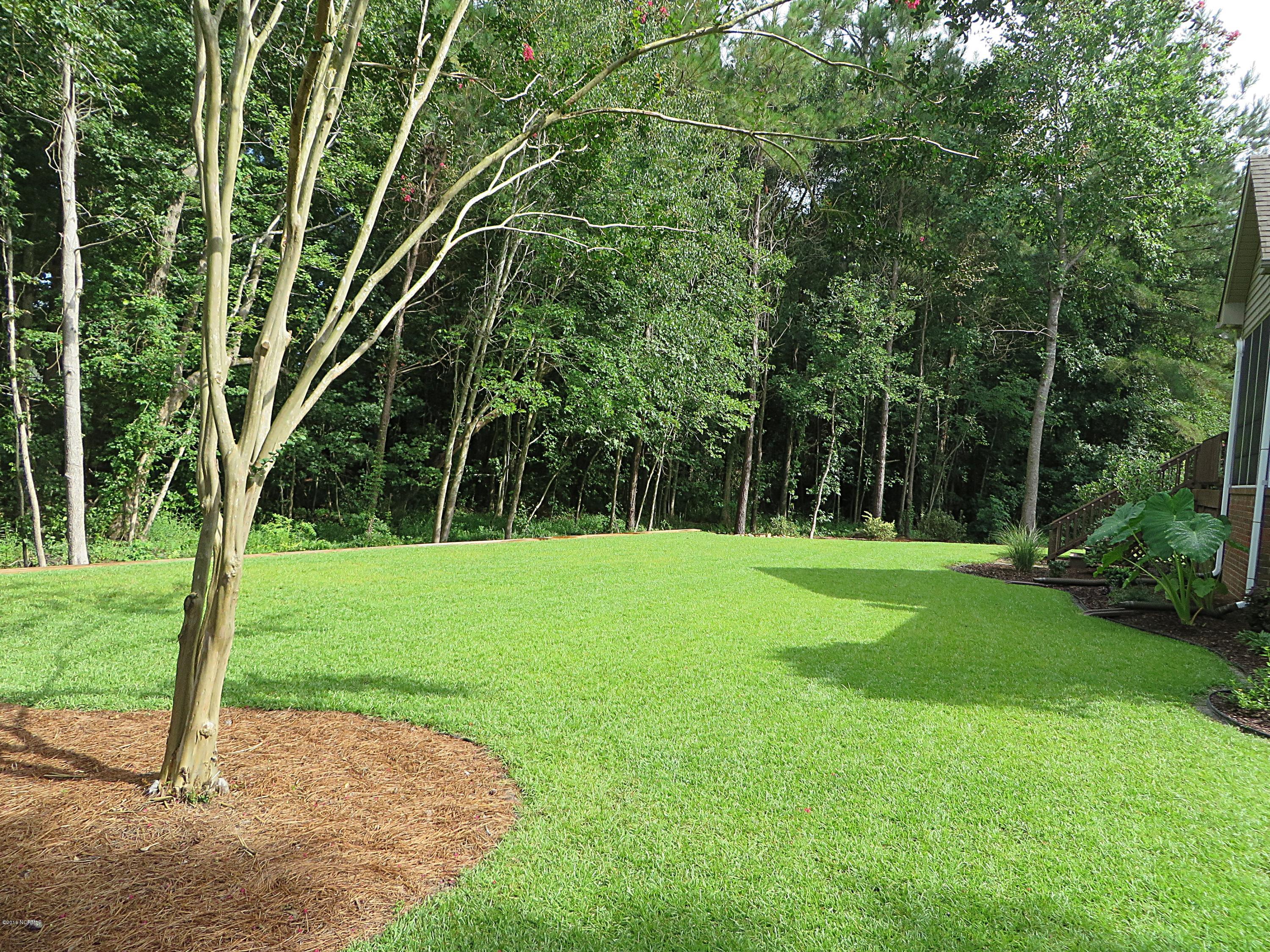 119 Friburg Road New Bern, NC 28562 - Photo 34 of 45 Your Back Yard