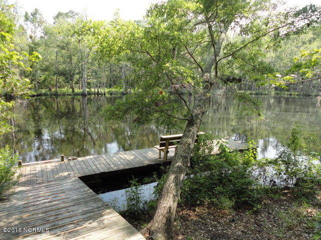 119 Friburg Road New Bern, NC 28562 - Photo 41 of 45 Taberna Community Park - Brice's Creek