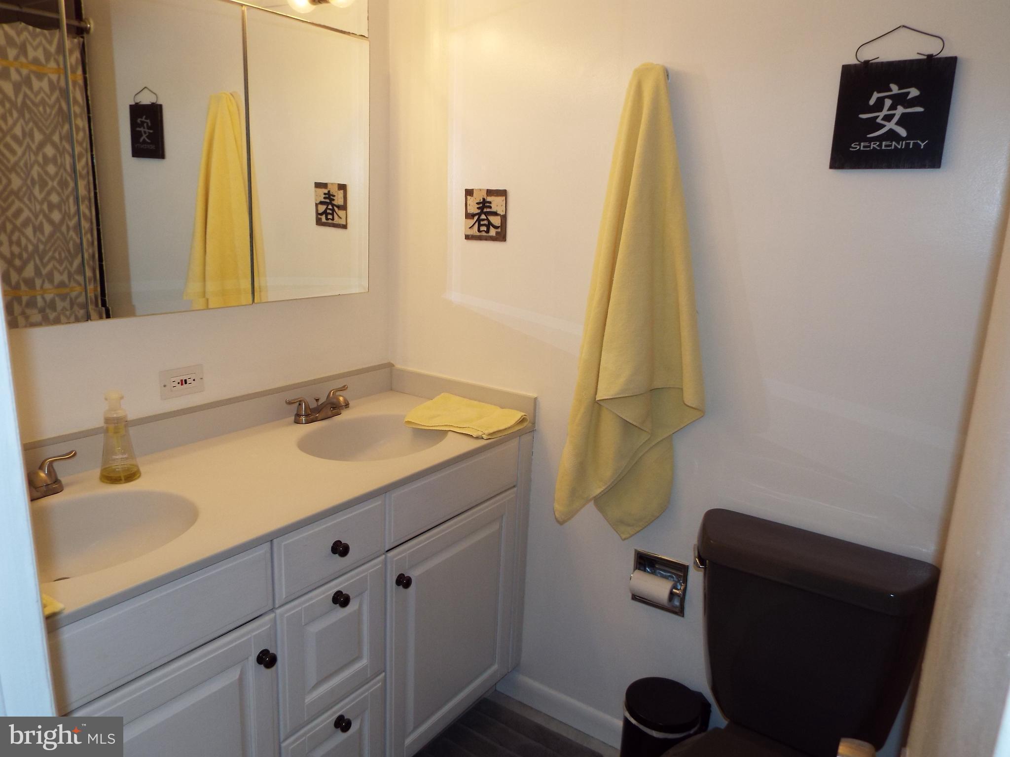 10909 Trotting Ridge Way, Unit 910 Columbia, MD 21044 - Photo 20 of 28 Bath (Master)