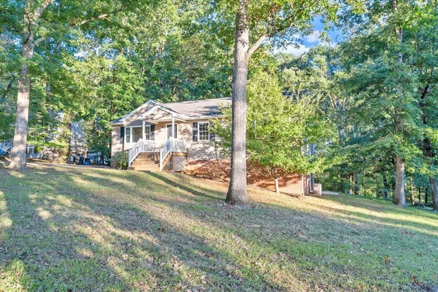 a view of a big yard with plants and large trees