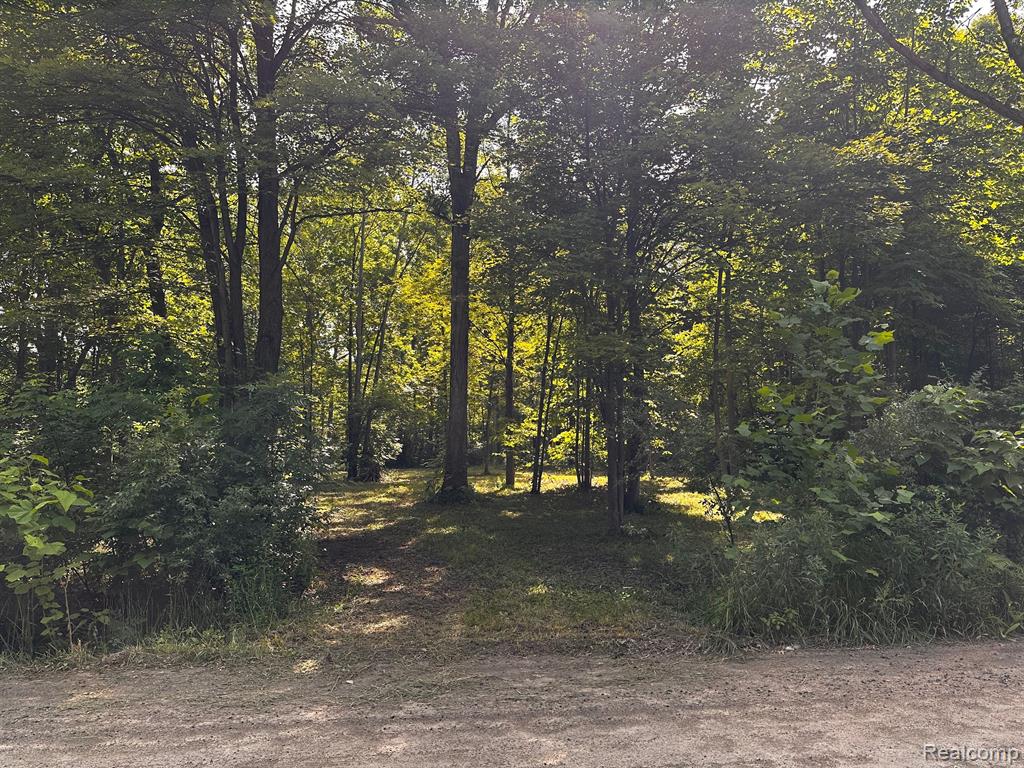 00000 Haggerty Road Belleville, MI 48111 - Photo 1 of 7
