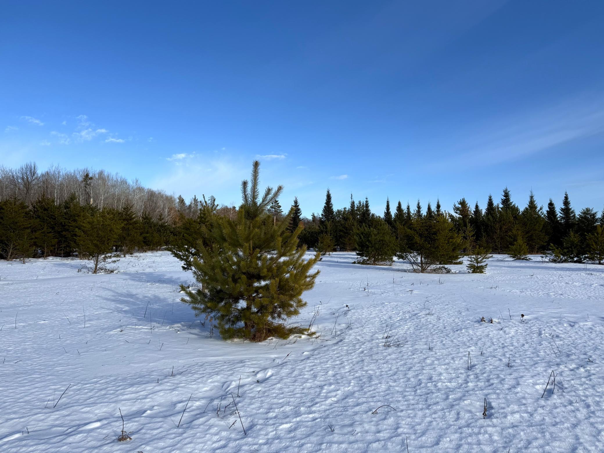 Tbd Sand River Road Hinckley, MN 55037 - Photo 13 of 82