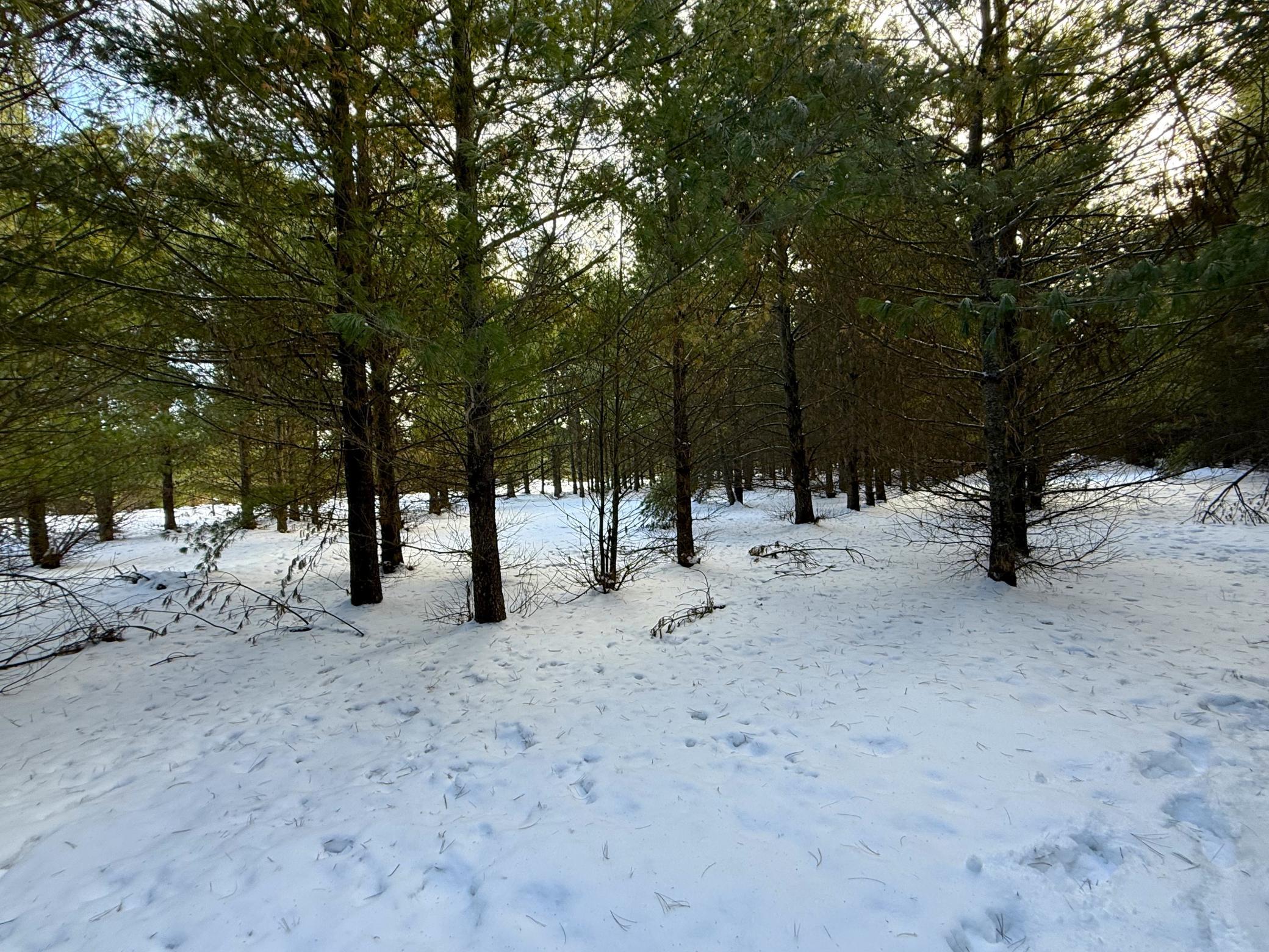 Tbd Sand River Road Hinckley, MN 55037 - Photo 16 of 82