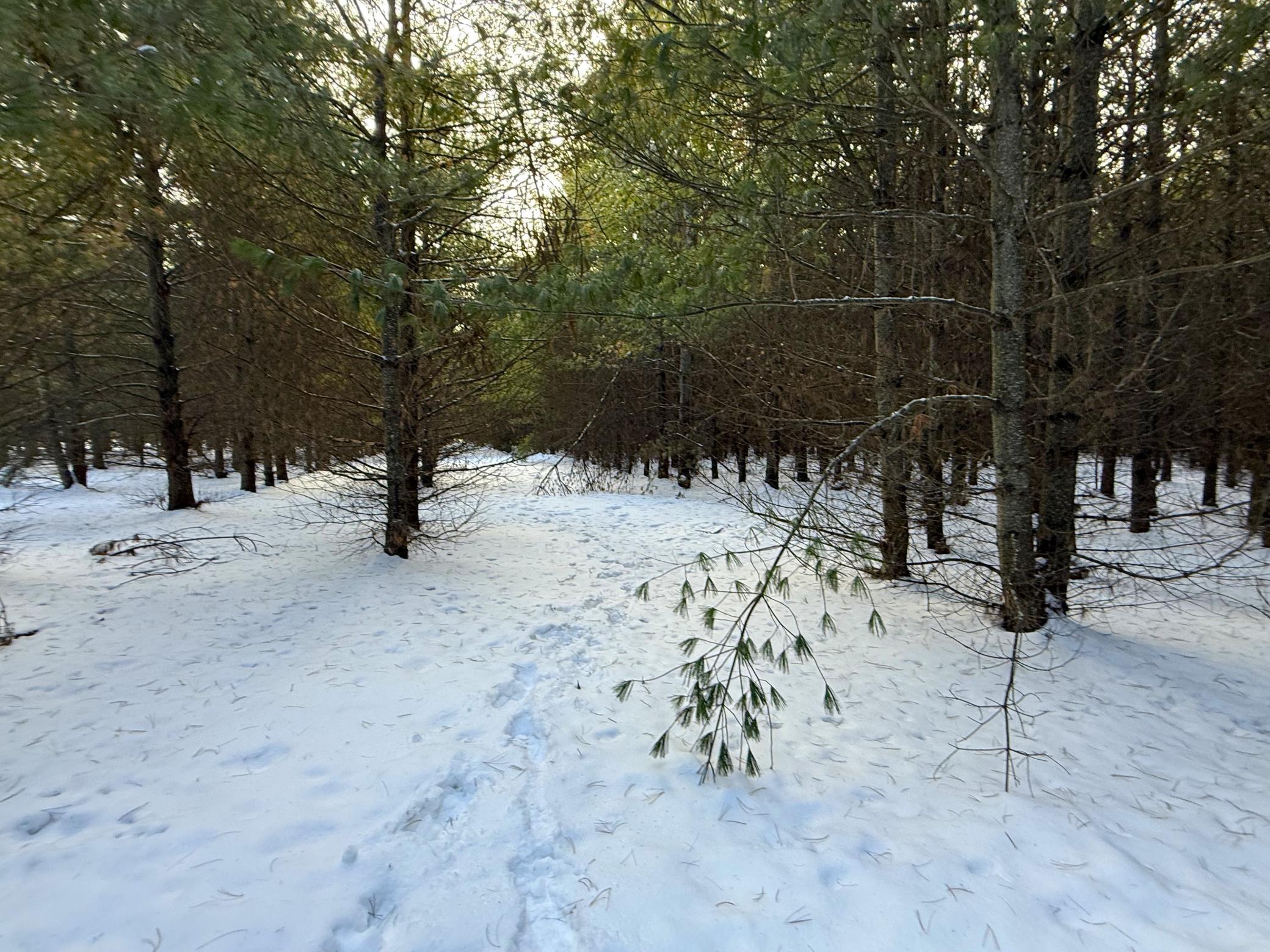 Tbd Sand River Road Hinckley, MN 55037 - Photo 17 of 82