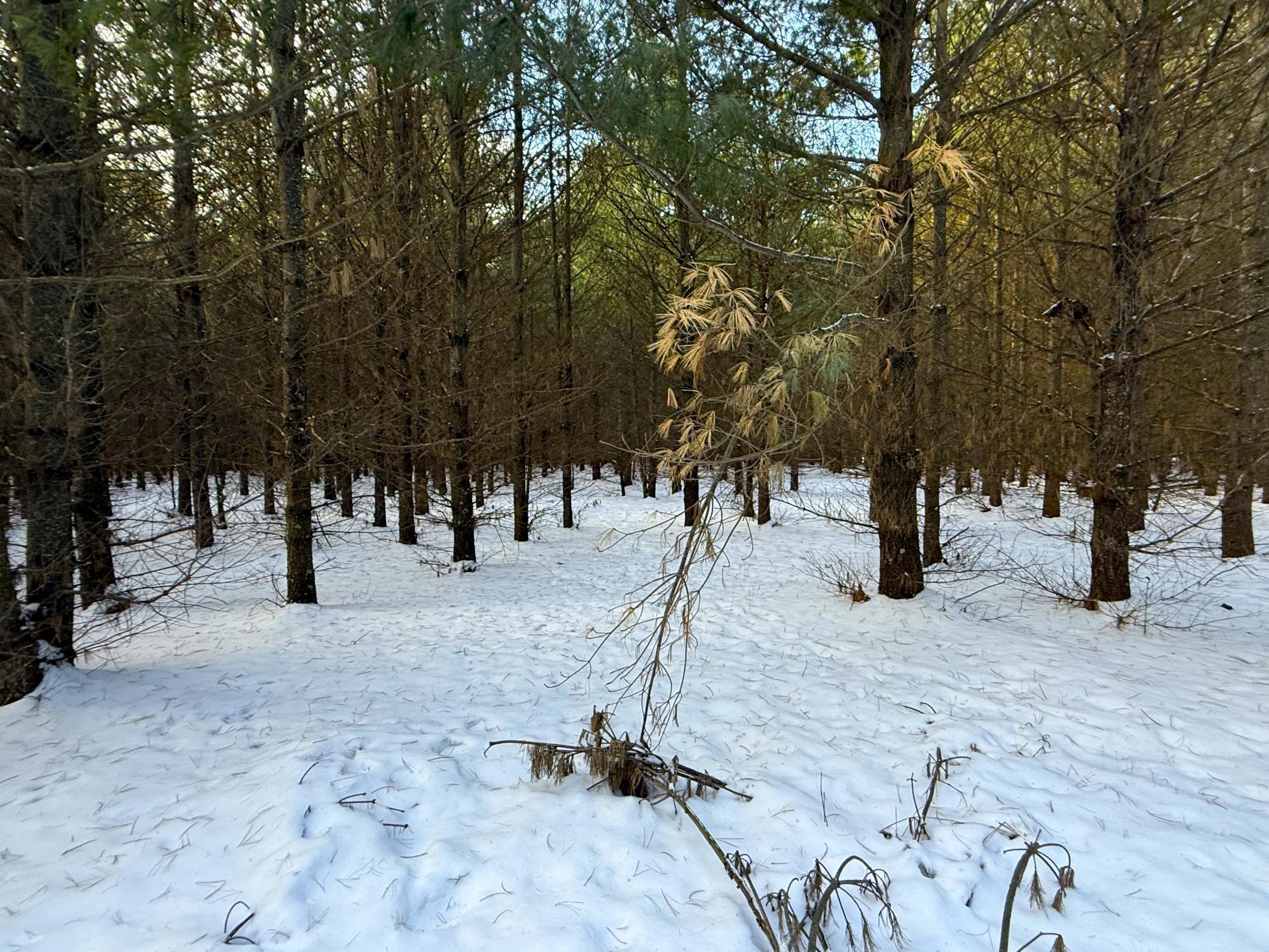 Tbd Sand River Road Hinckley, MN 55037 - Photo 18 of 82