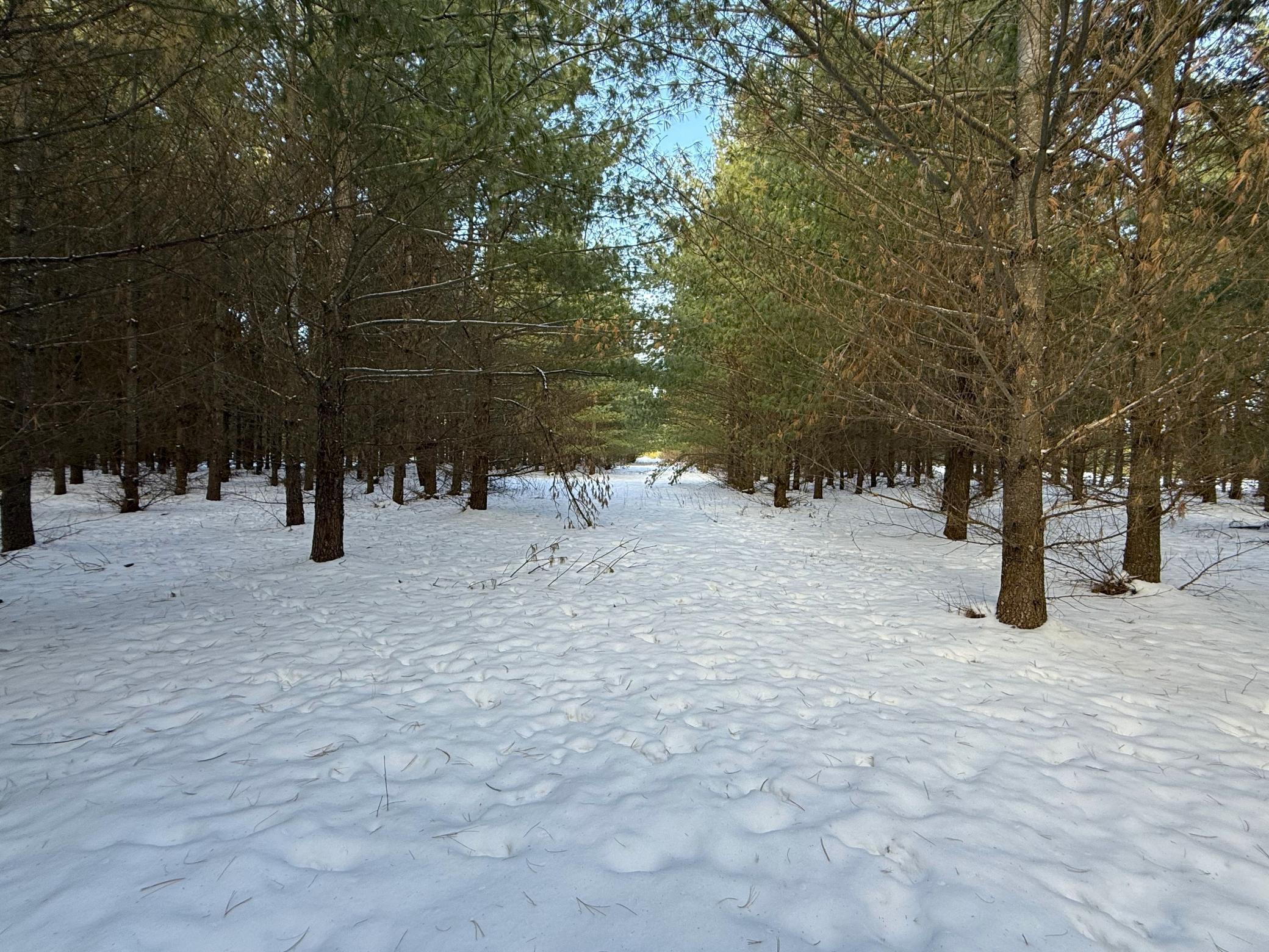 Tbd Sand River Road Hinckley, MN 55037 - Photo 19 of 82