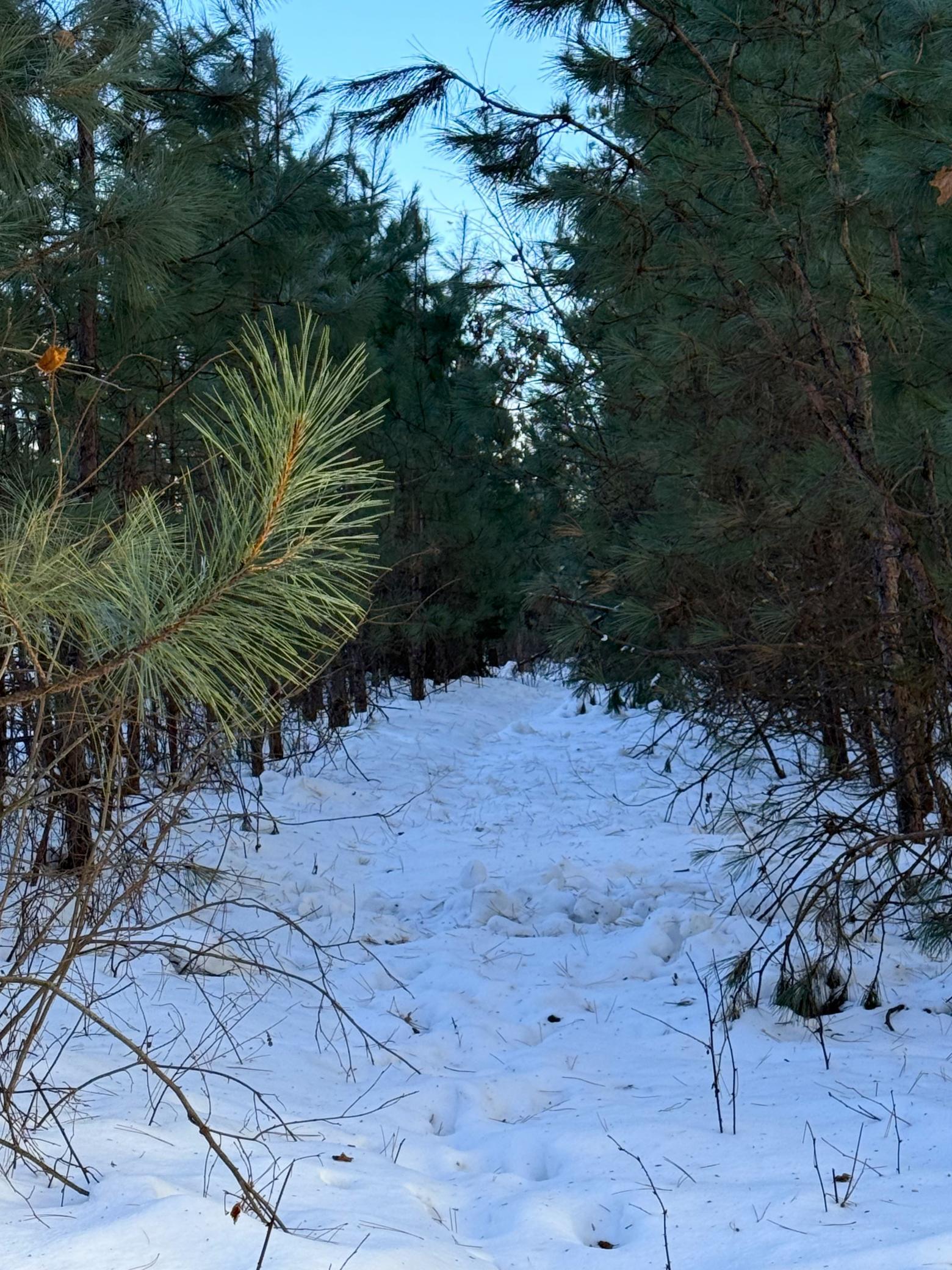 Tbd Sand River Road Hinckley, MN 55037 - Photo 20 of 82