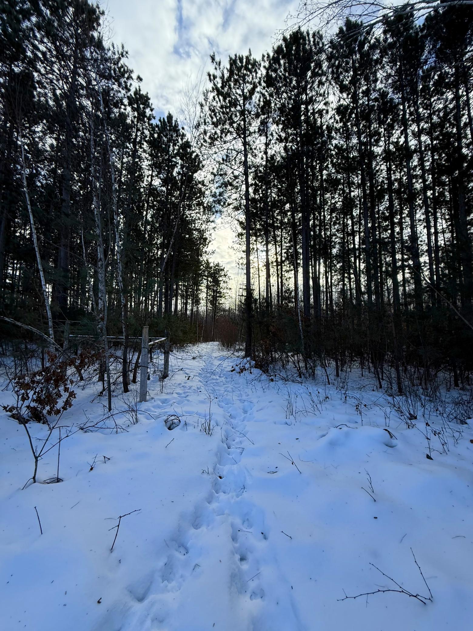 Tbd Sand River Road Hinckley, MN 55037 - Photo 22 of 82