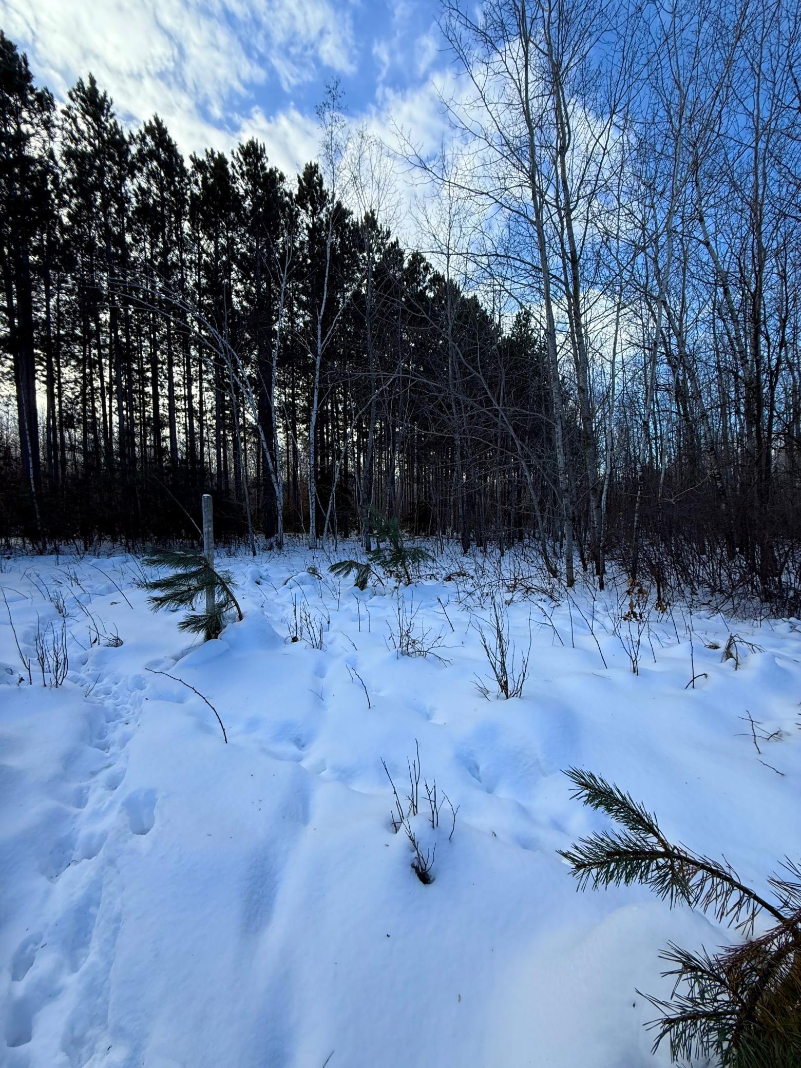 Tbd Sand River Road Hinckley, MN 55037 - Photo 23 of 82