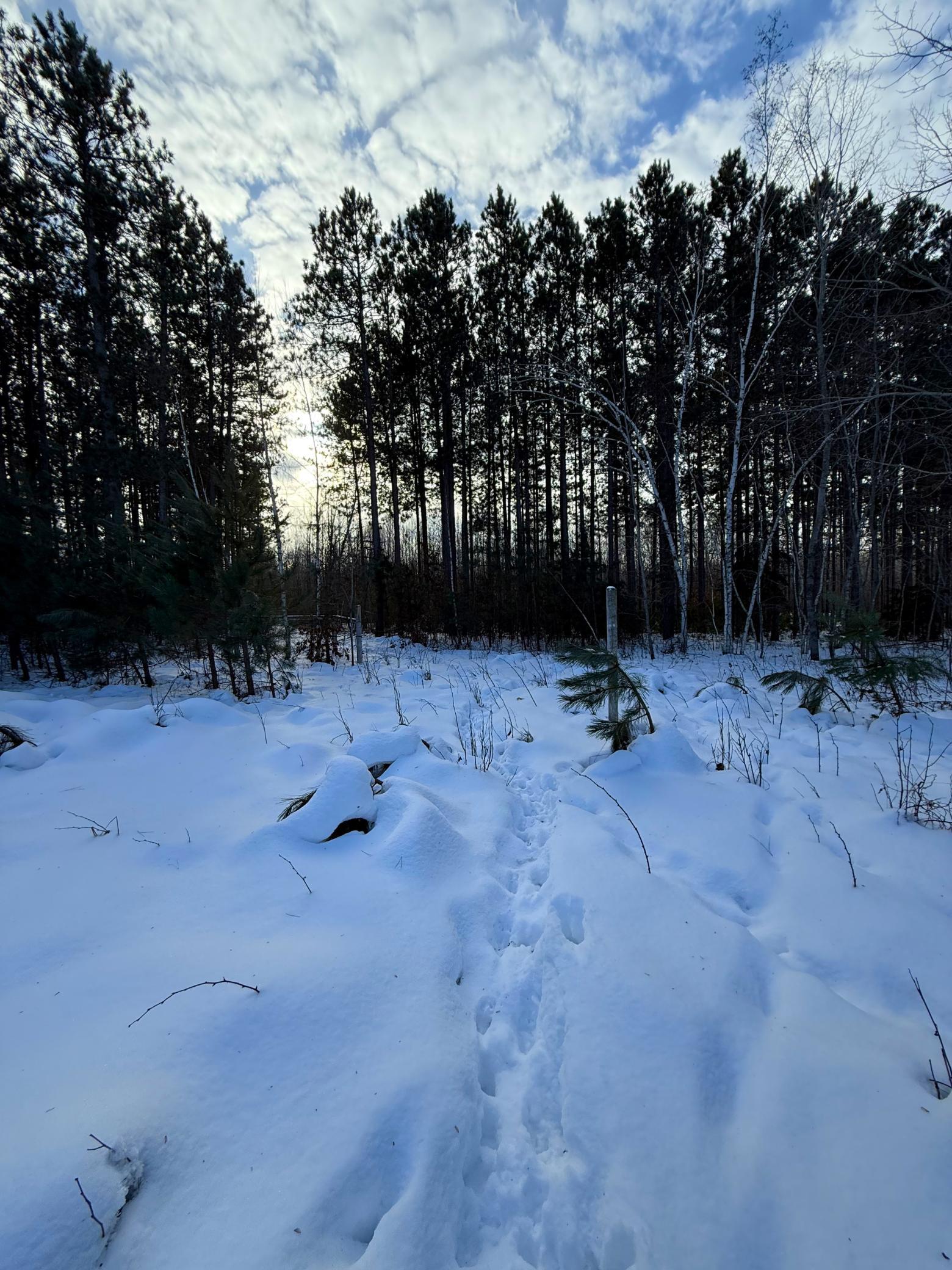 Tbd Sand River Road Hinckley, MN 55037 - Photo 24 of 82