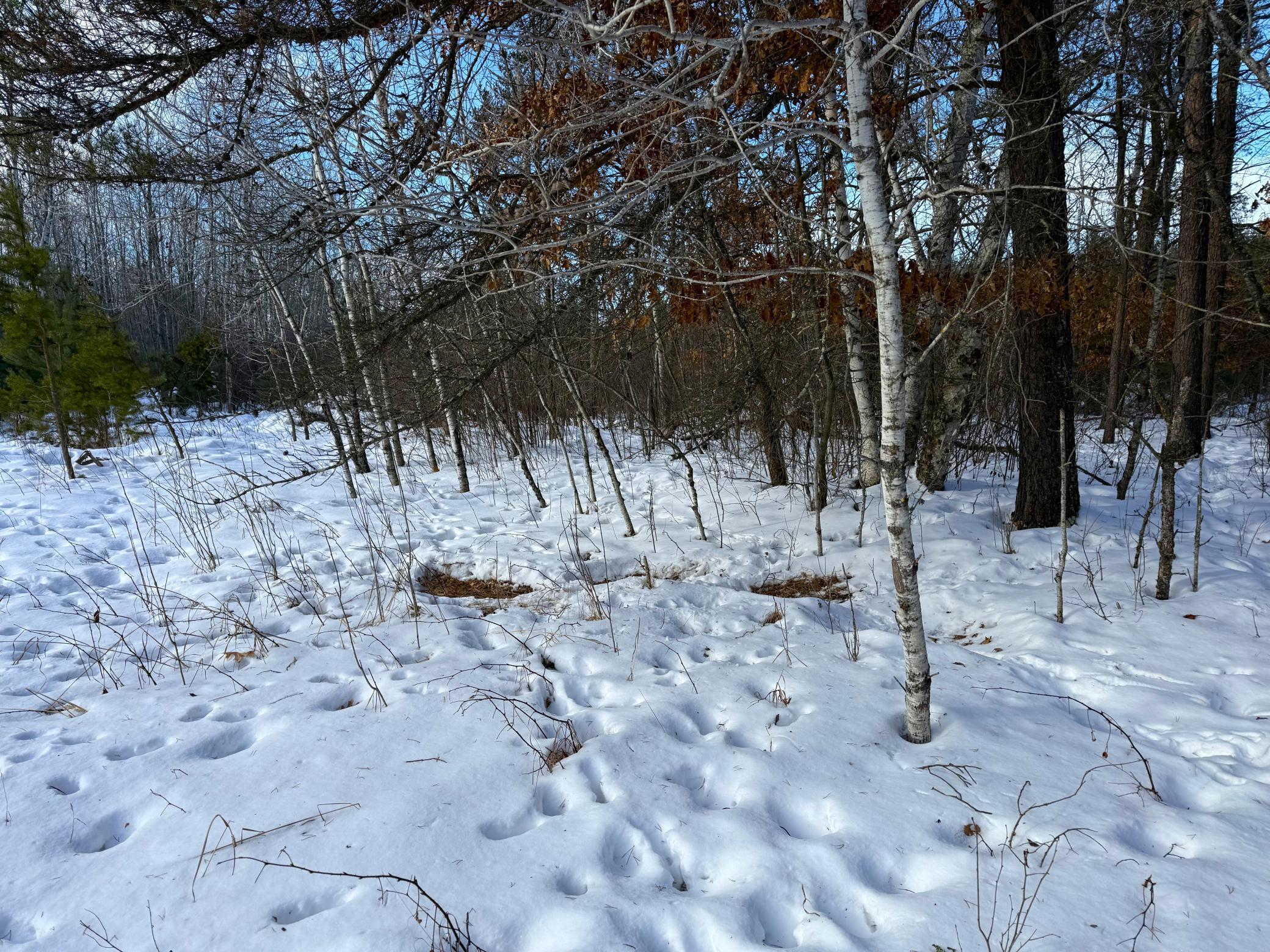 Tbd Sand River Road Hinckley, MN 55037 - Photo 25 of 82
