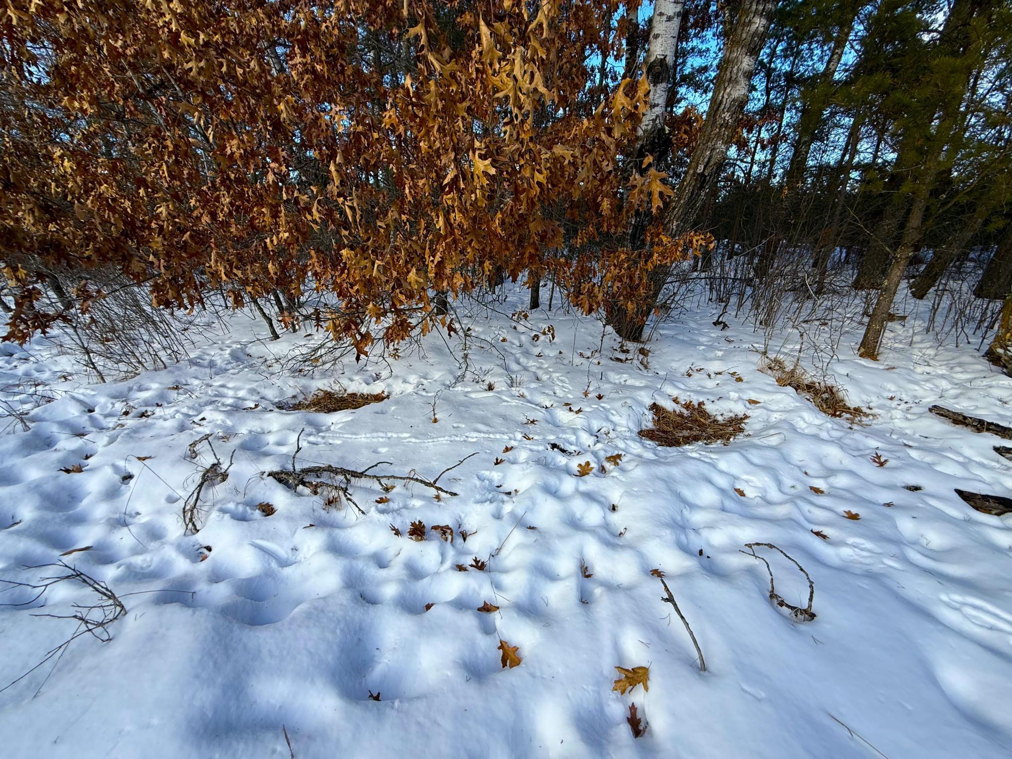 Tbd Sand River Road Hinckley, MN 55037 - Photo 26 of 82