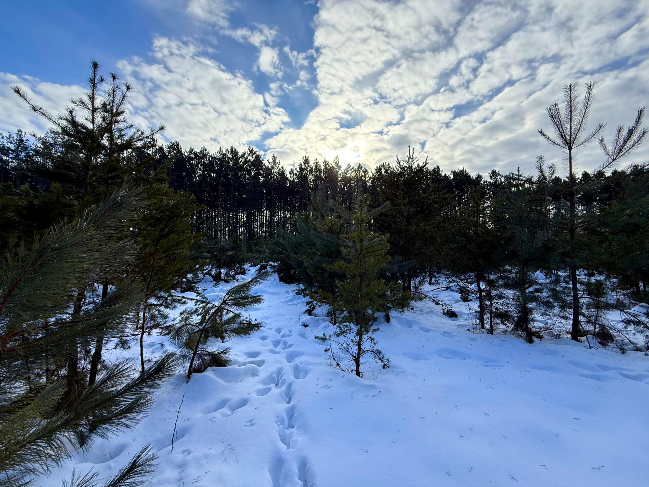 Tbd Sand River Road Hinckley, MN 55037 - Photo 28 of 82