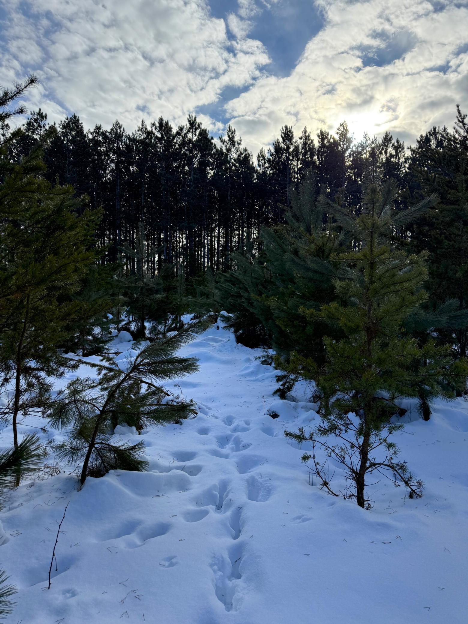 Tbd Sand River Road Hinckley, MN 55037 - Photo 29 of 82