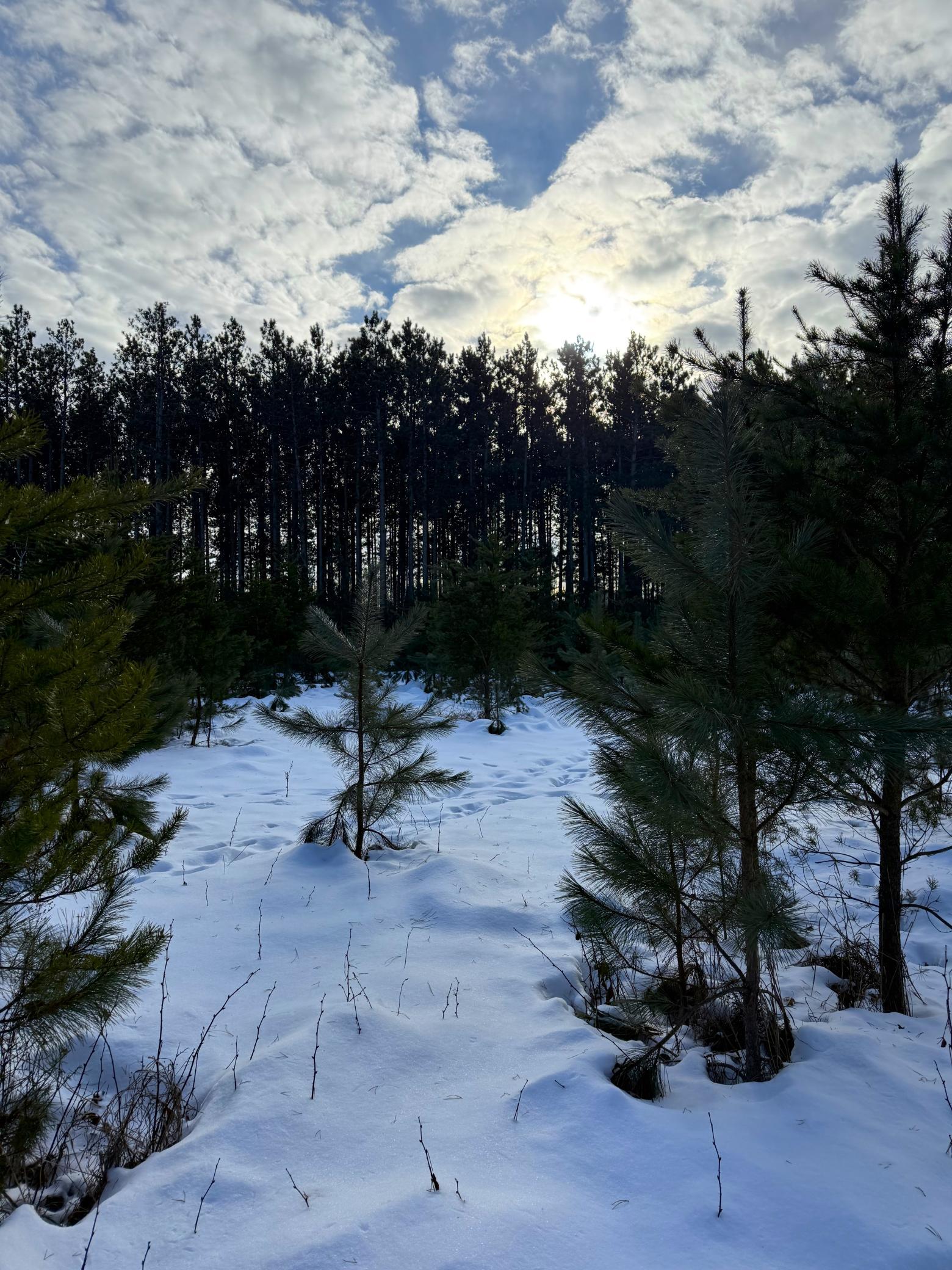 Tbd Sand River Road Hinckley, MN 55037 - Photo 30 of 82