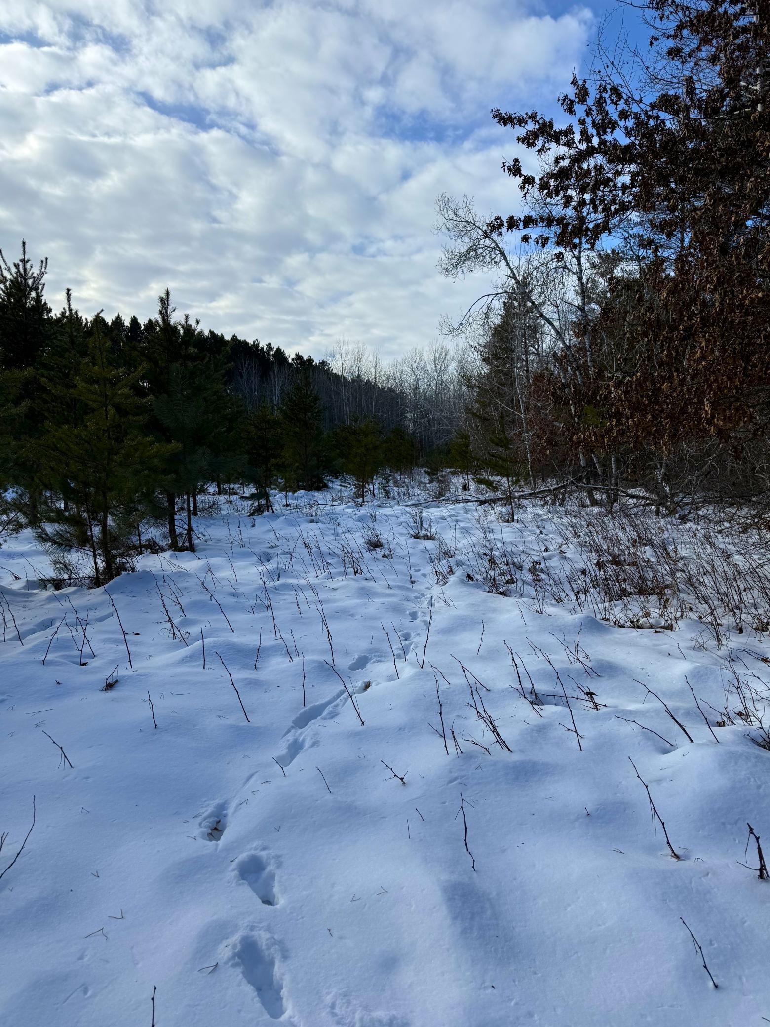 Tbd Sand River Road Hinckley, MN 55037 - Photo 31 of 82