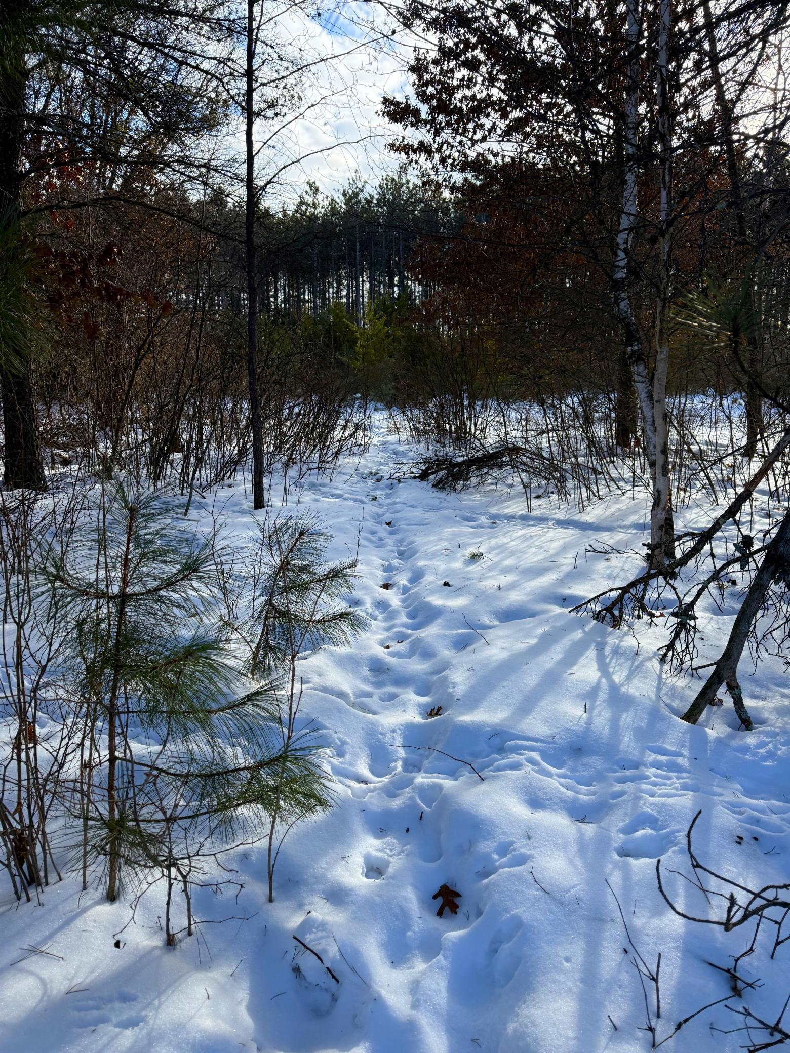 Tbd Sand River Road Hinckley, MN 55037 - Photo 32 of 82