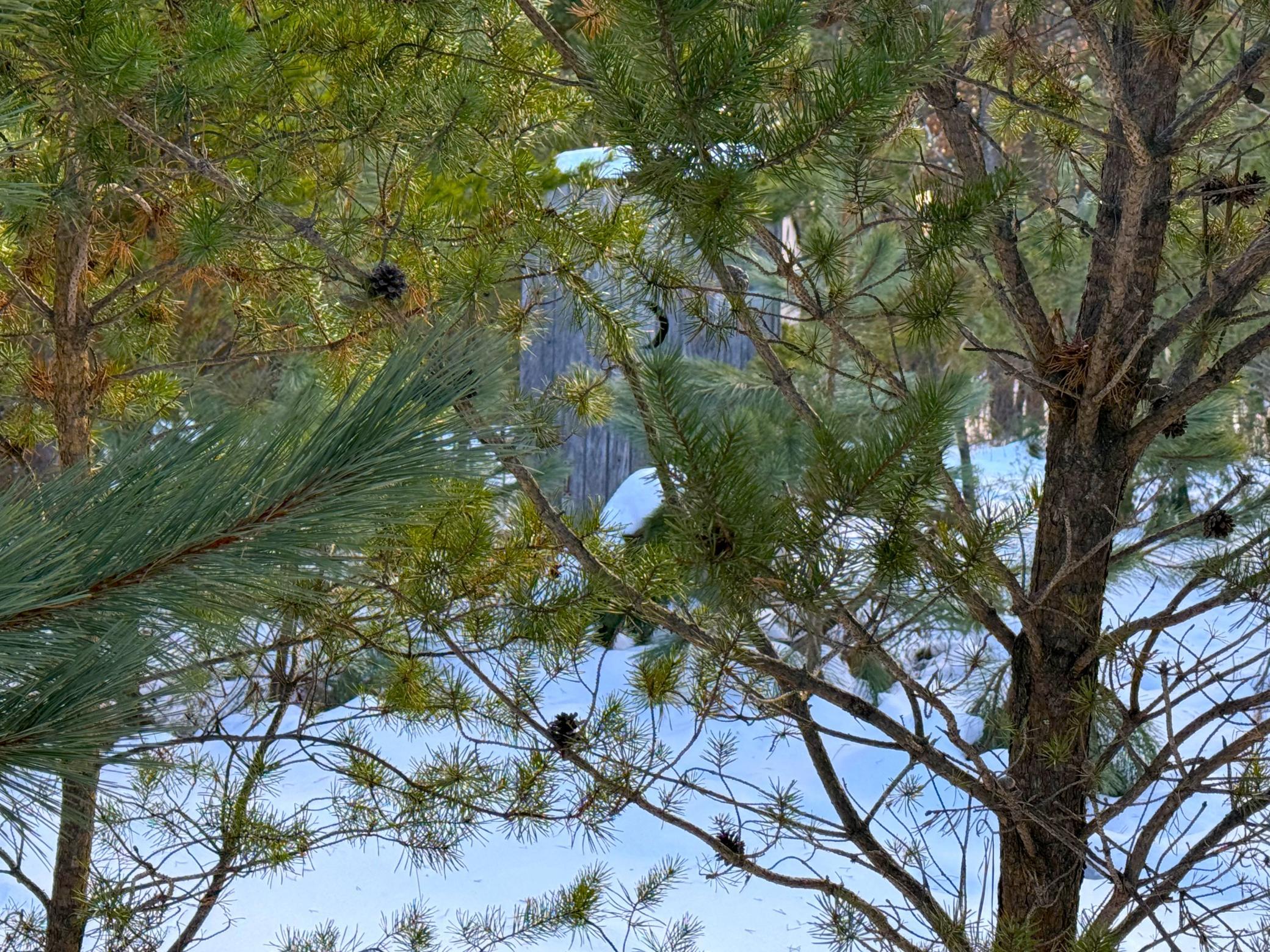 Tbd Sand River Road Hinckley, MN 55037 - Photo 36 of 82