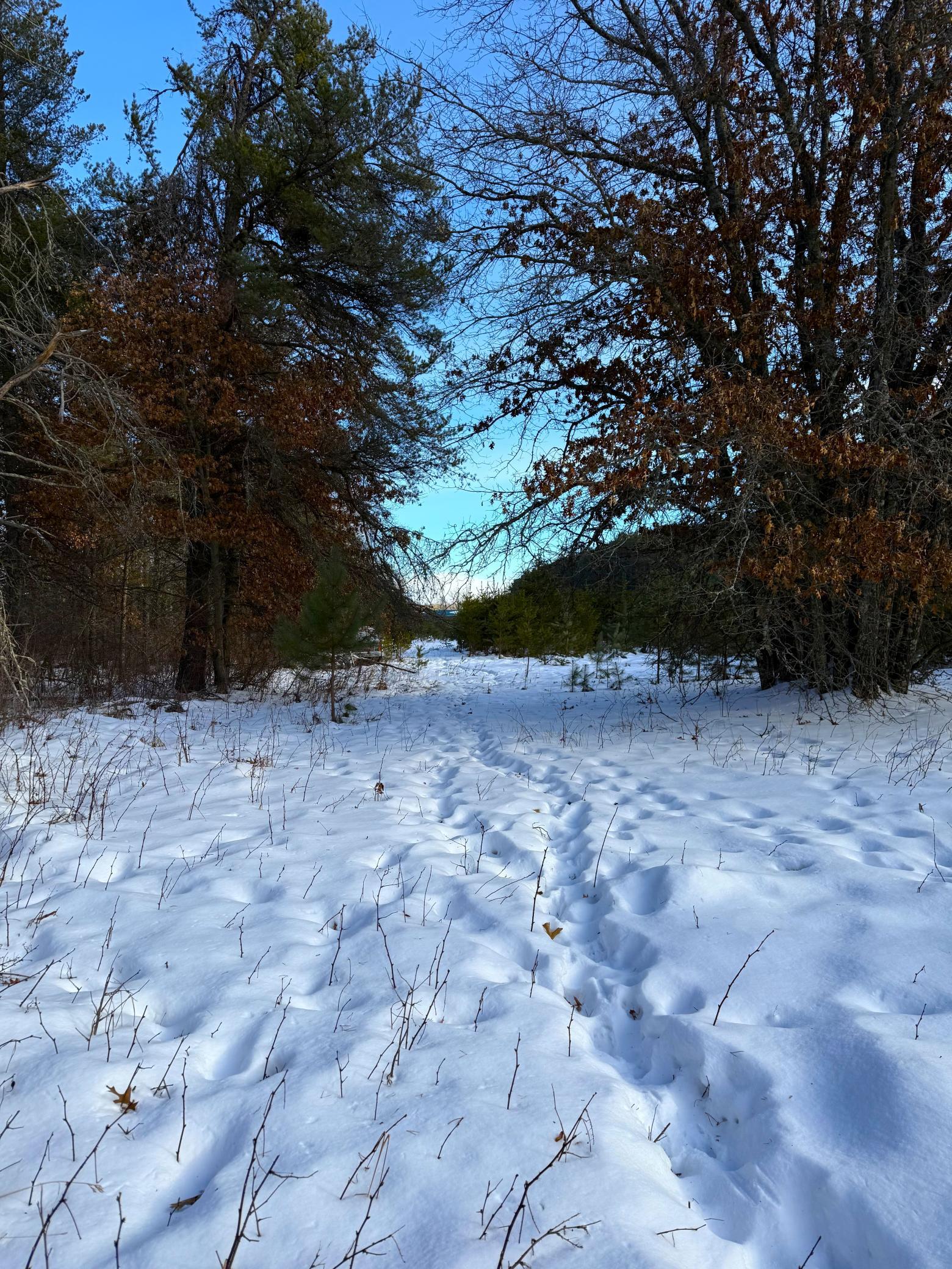 Tbd Sand River Road Hinckley, MN 55037 - Photo 4 of 82