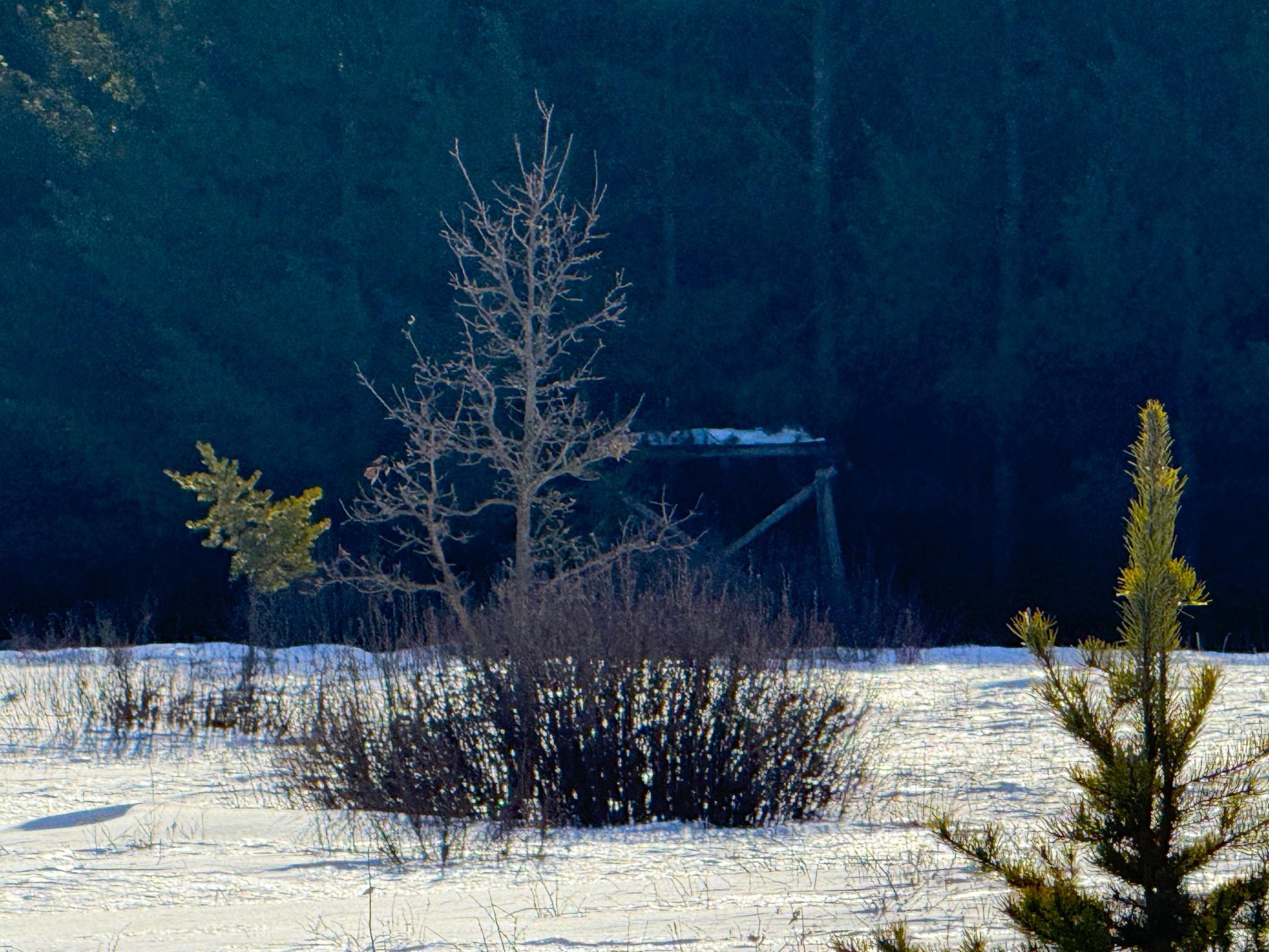 Tbd Sand River Road Hinckley, MN 55037 - Photo 48 of 82