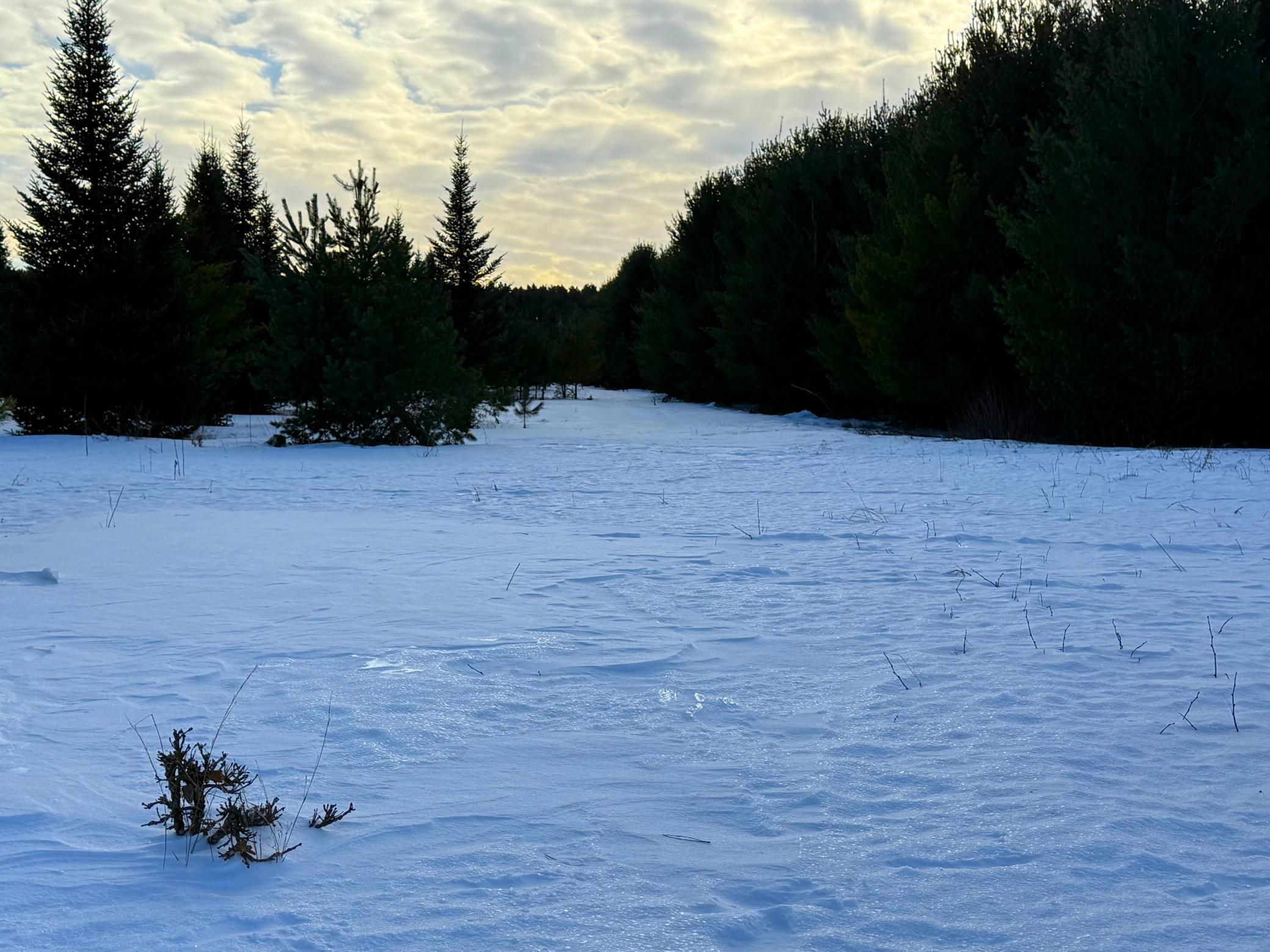 Tbd Sand River Road Hinckley, MN 55037 - Photo 49 of 82