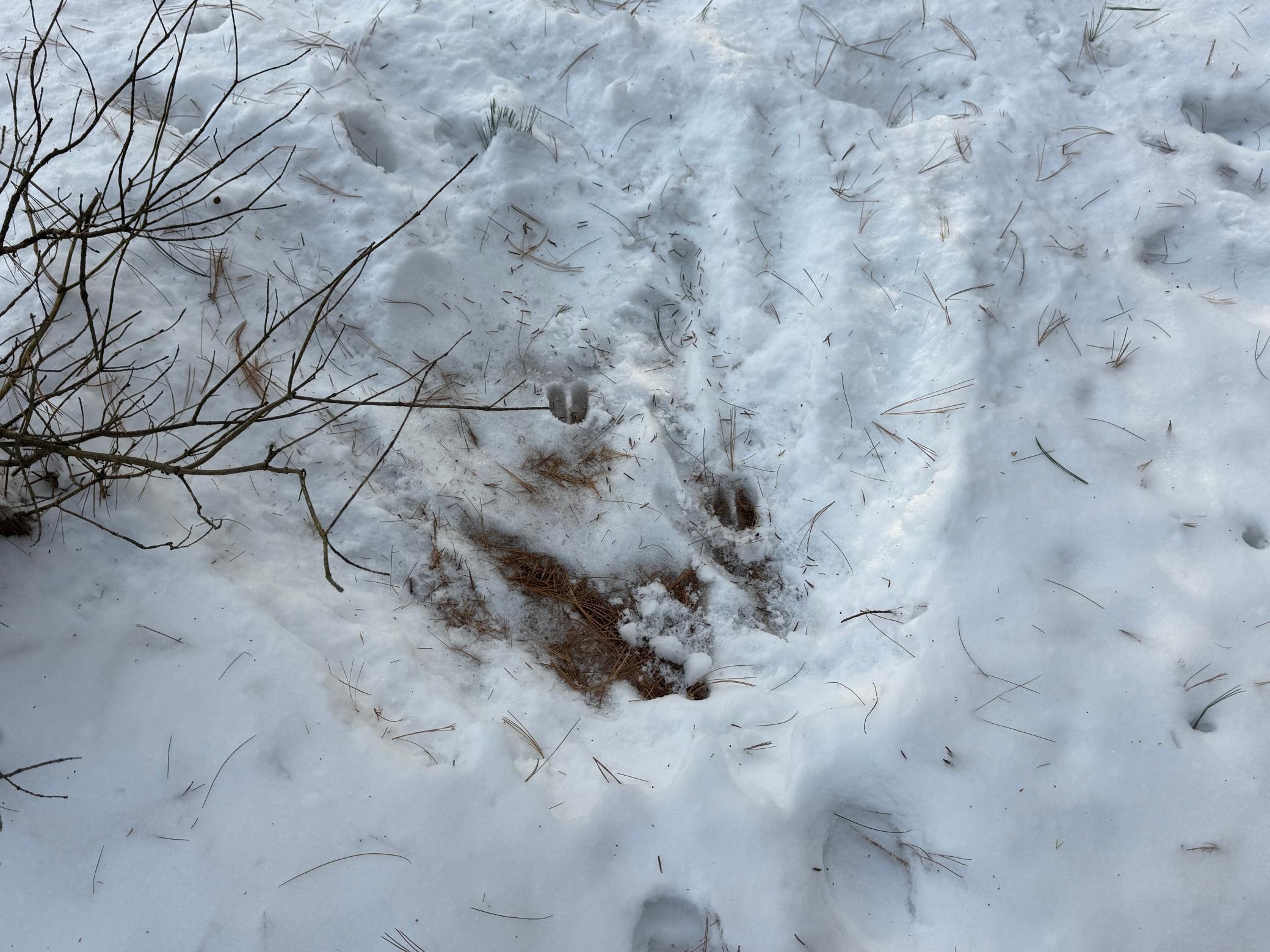 Tbd Sand River Road Hinckley, MN 55037 - Photo 50 of 82