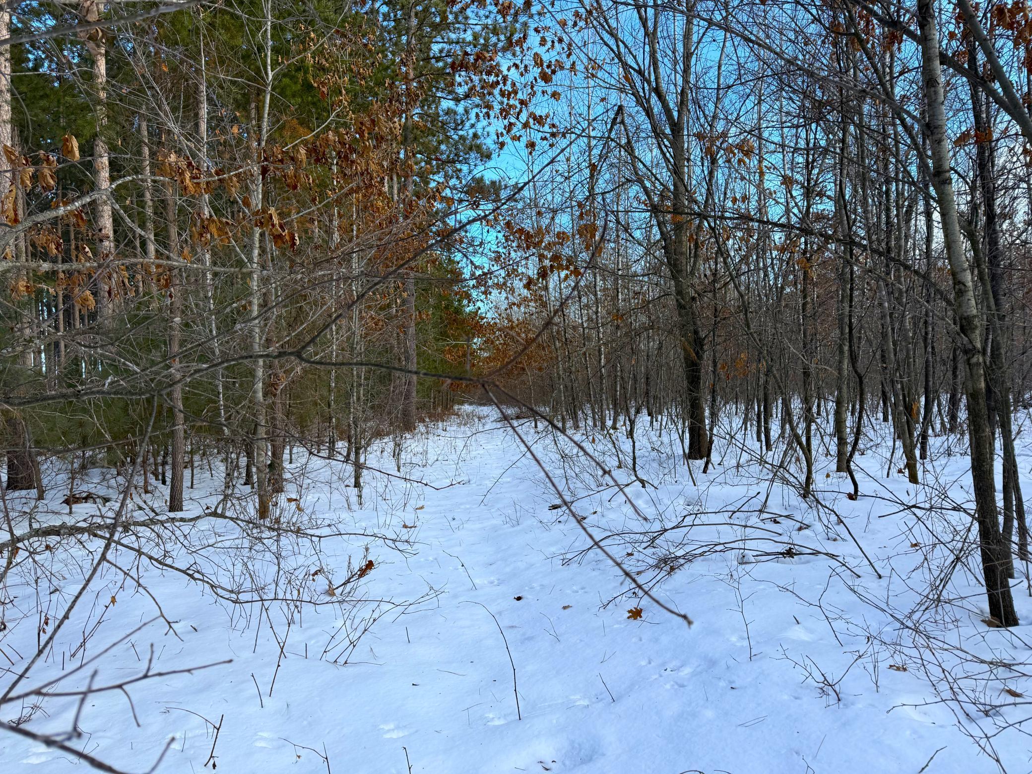 Tbd Sand River Road Hinckley, MN 55037 - Photo 5 of 82