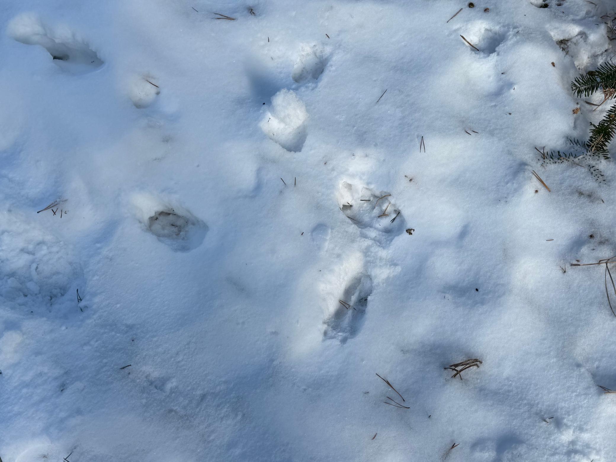 Tbd Sand River Road Hinckley, MN 55037 - Photo 51 of 82