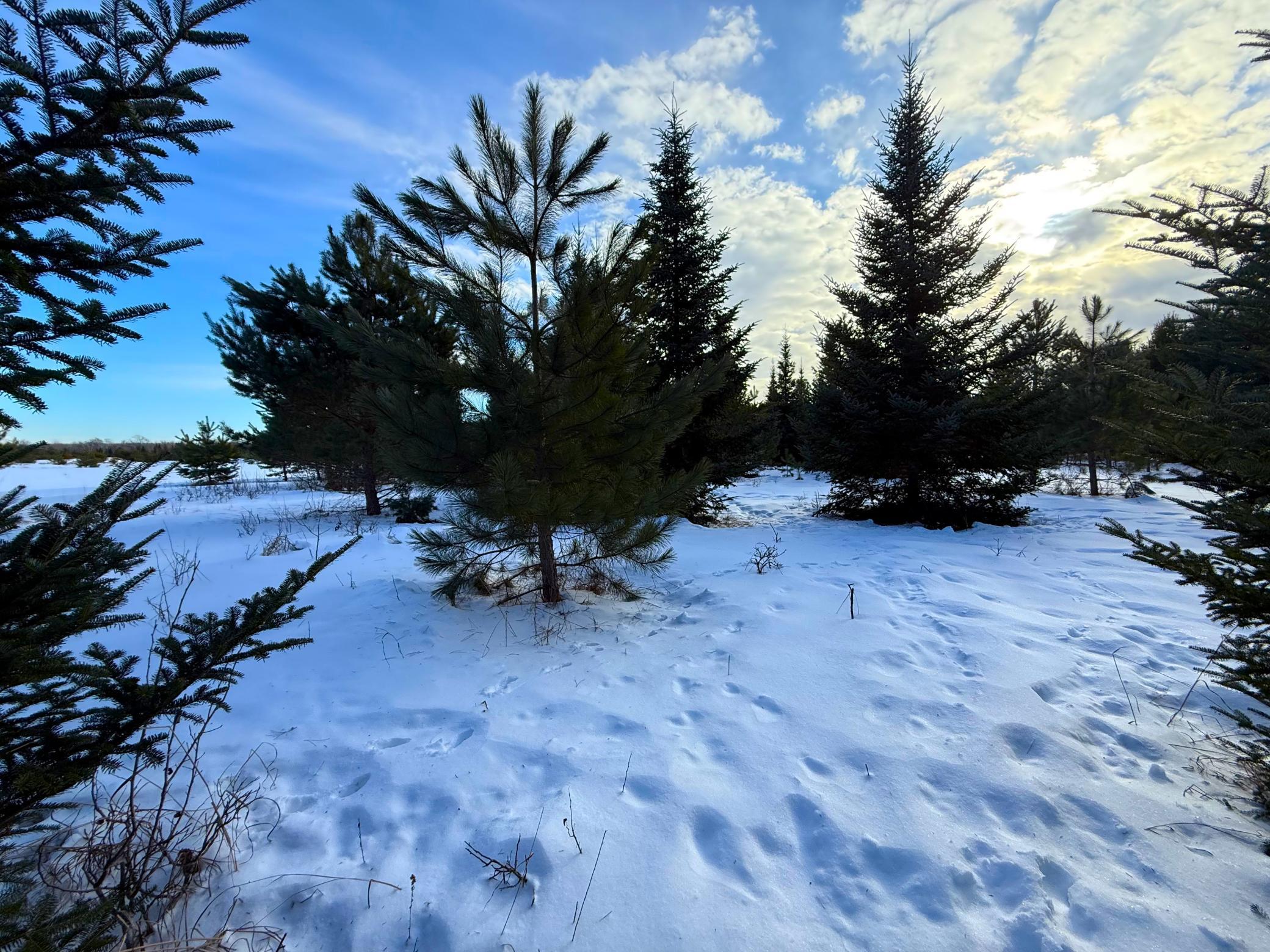 Tbd Sand River Road Hinckley, MN 55037 - Photo 52 of 82